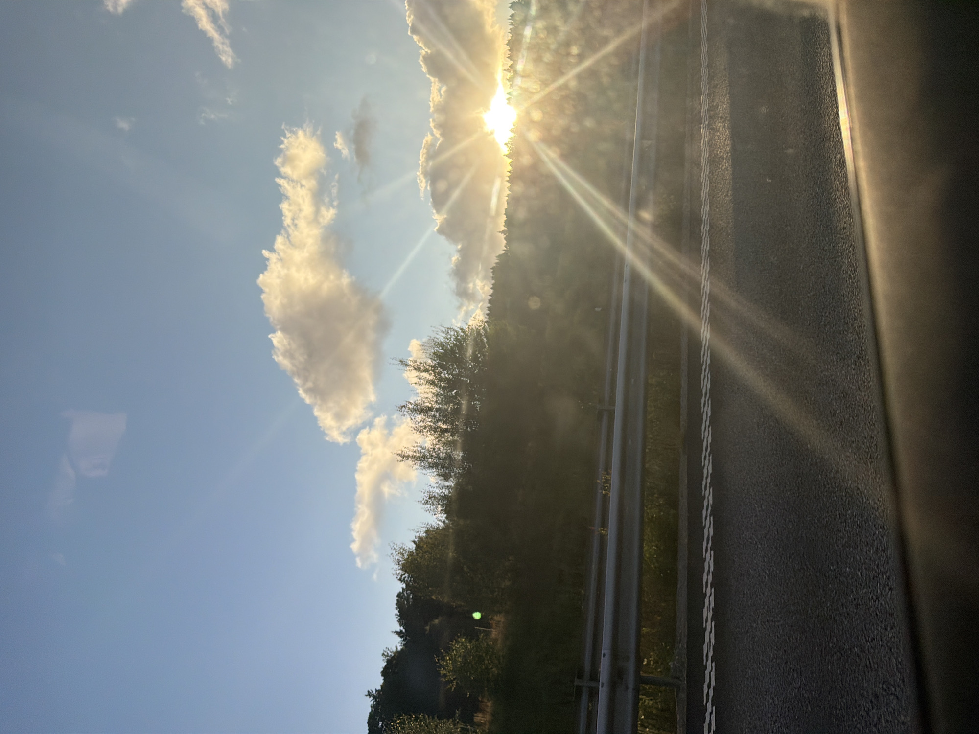 The image depicts a view from a vehicle traveling on a highway, likely Route E6, in Ödsmål, Sweden. The sun is setting, casting a warm glow across the scene and creating strong lens flares. A guardrail separates the highway from a tree-lined embankment. The sky is a clear blue with scattered, luminous clouds illuminated by the sun. The road surface is asphalt, with visible lane markings. The embankment is covered with dense vegetation, including trees and grass. No people or other vehicles are visible in the frame. The lighting suggests it is late afternoon or early evening.