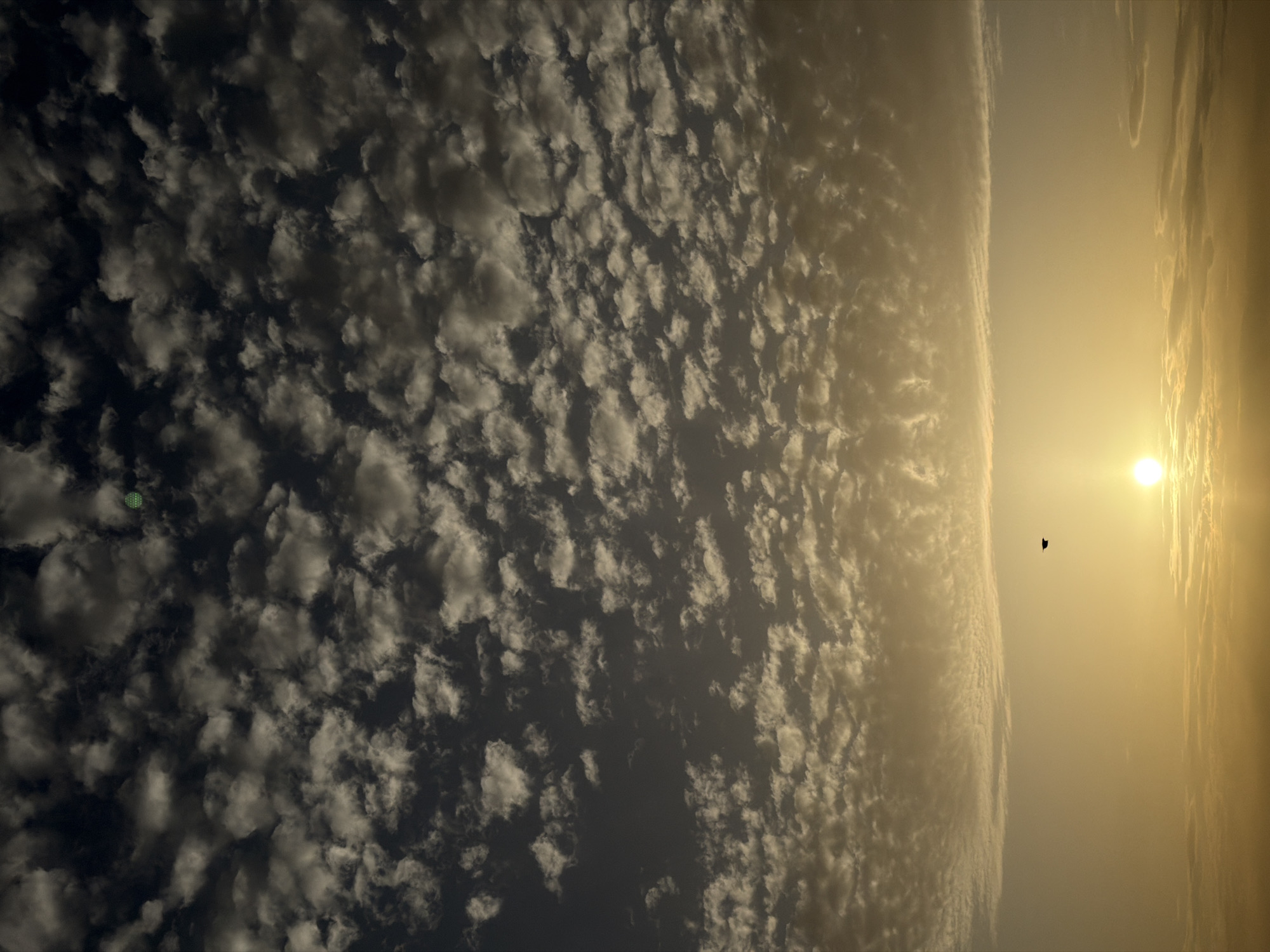 The image depicts a sky view, possibly taken in Tel-Aviv, Israel, given the title. The sun shines brightly on the right side, with clouds surrounding it. A small dark silhouette, likely a bird, is visible against the bright sky. The left side of the image is filled with a dense formation of smaller clouds, creating a textured pattern against the sky. The image appears to be taken at either sunrise or sunset, given the warm golden hue and the position of the sun.