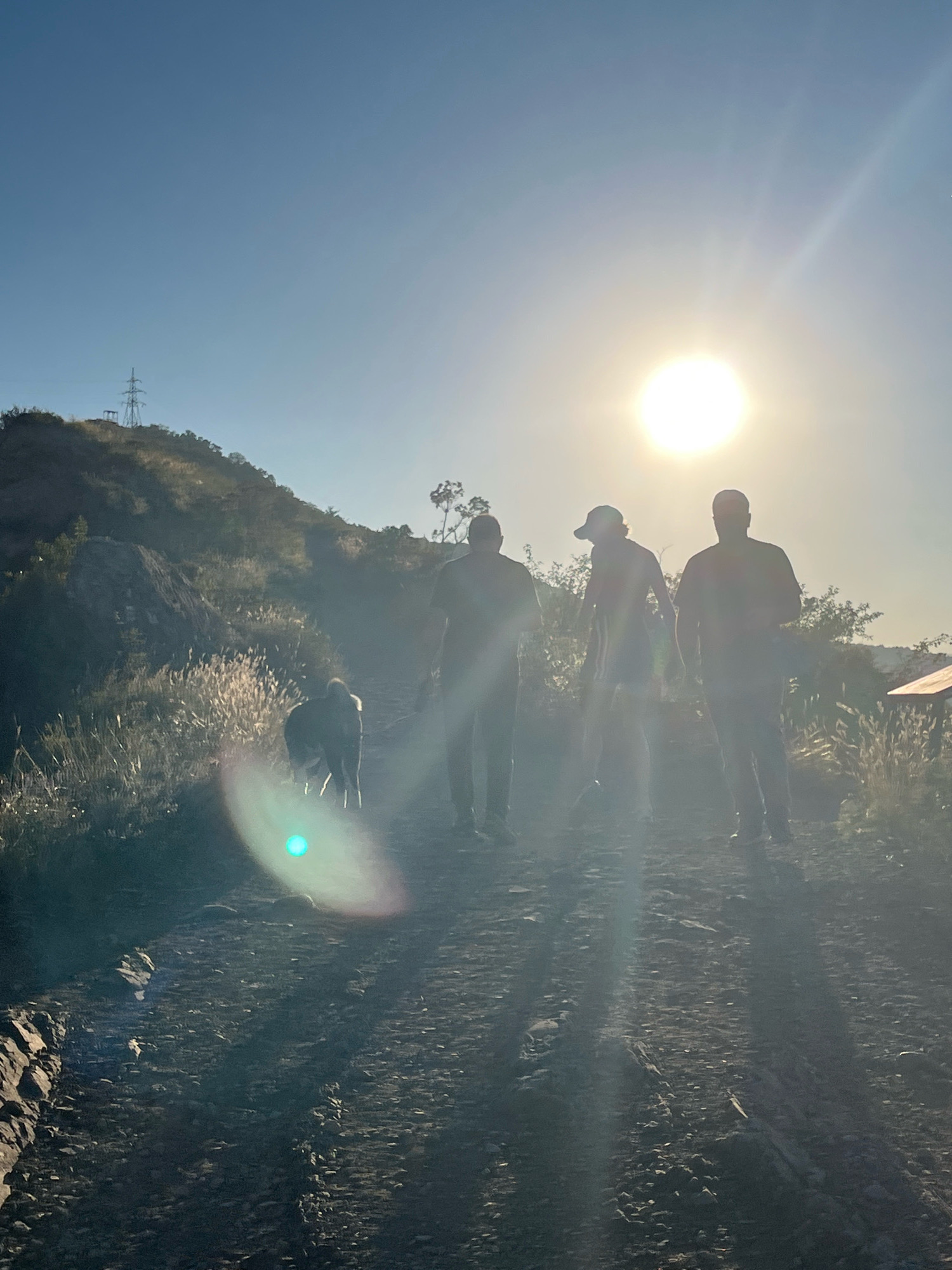 The image depicts a group of three individuals and a dog walking on a dirt path in an outdoor, hilly environment. The sun is low in the sky, causing a strong lens flare and silhouetting the subjects. The landscape appears arid with sparse vegetation, including tall grasses and some trees. In the background, a power line tower is visible on a hill, which is a common feature in Tbilisi, Georgia. The path is rocky and uneven. The overall scene suggests a hike or walk in a natural area on the outskirts of the city.