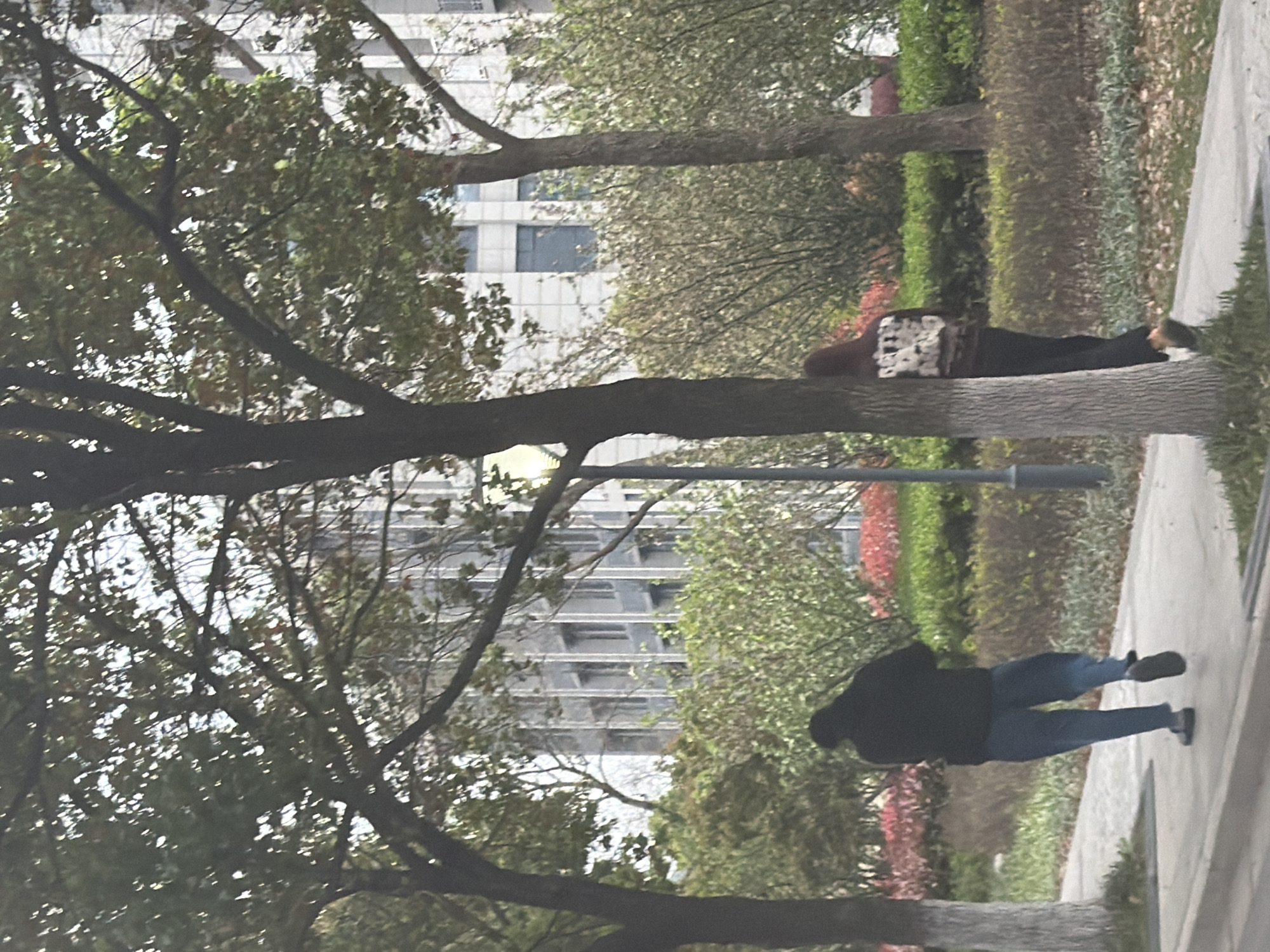 The image depicts an outdoor scene likely in an urban park in Jiangning District, China. The foreground is dominated by tree branches, partially obscuring a modern multi-story building in the background. Two individuals are visible on a sidewalk. One person is wearing dark clothing, including a hooded jacket and jeans, walking away from the camera. The other person is wearing a dark shirt, leggings and a brown top, also walking away from the camera. A street lamp stands along the sidewalk. The environment includes green foliage, bushes with red flowers, and a paved walkway.