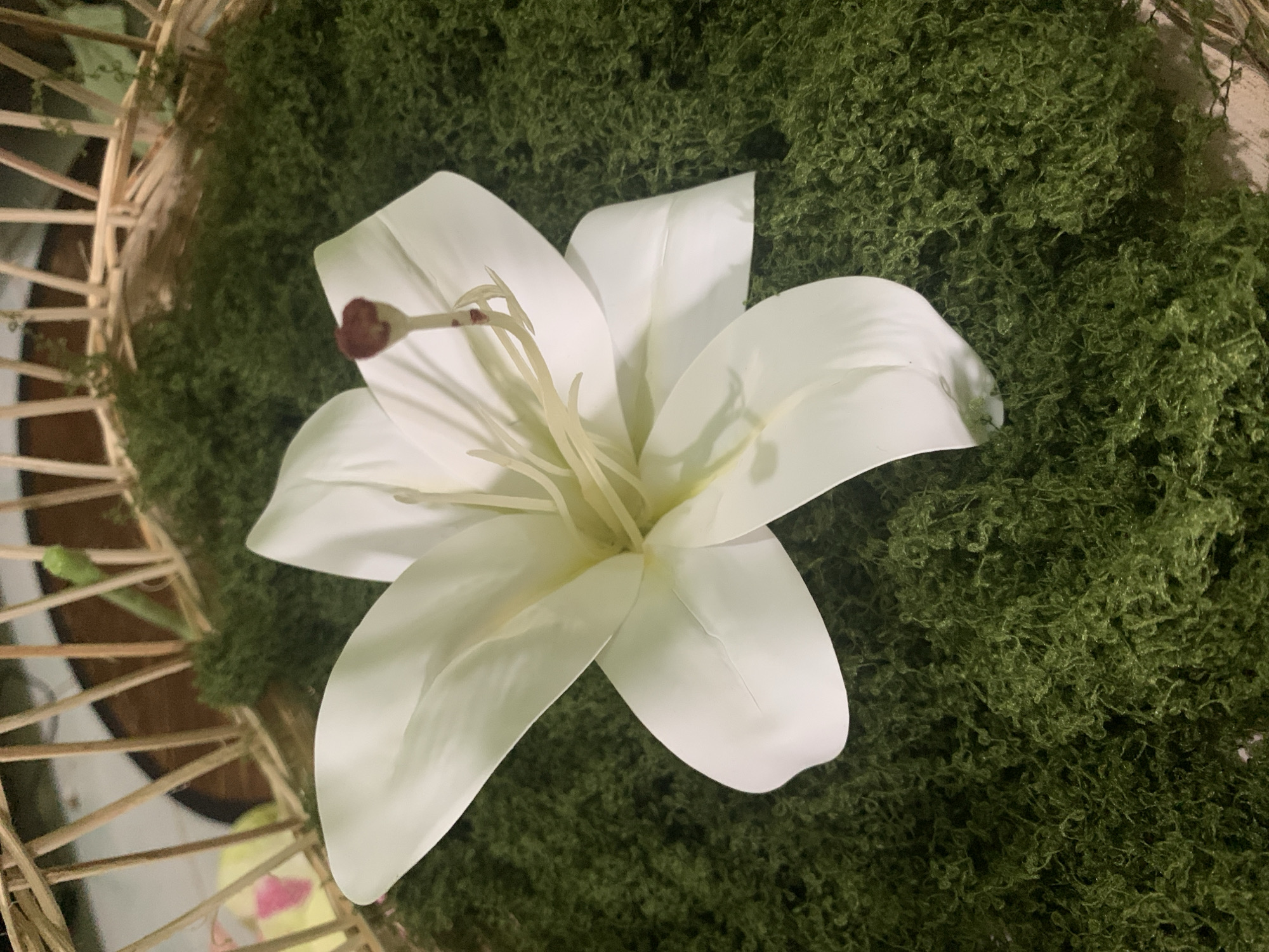 A close-up, high-angle shot shows a single, artificial white lily placed in the center of a woven basket filled with green, moss-like material. The basket has a natural, light-colored wood construction, with thin, vertical slats forming the sides and a circular base. The lily's petals are wide and spread open, revealing pale yellow stamens and a dark reddish-brown pistil. The green material appears dense and somewhat textured, filling the basket around the flower. The background is slightly out of focus, with hints of other objects visible within the basket's rim. The lighting is somewhat dim, creating soft shadows. There are no people or animals present in the image. The scene is likely staged for decorative purposes.