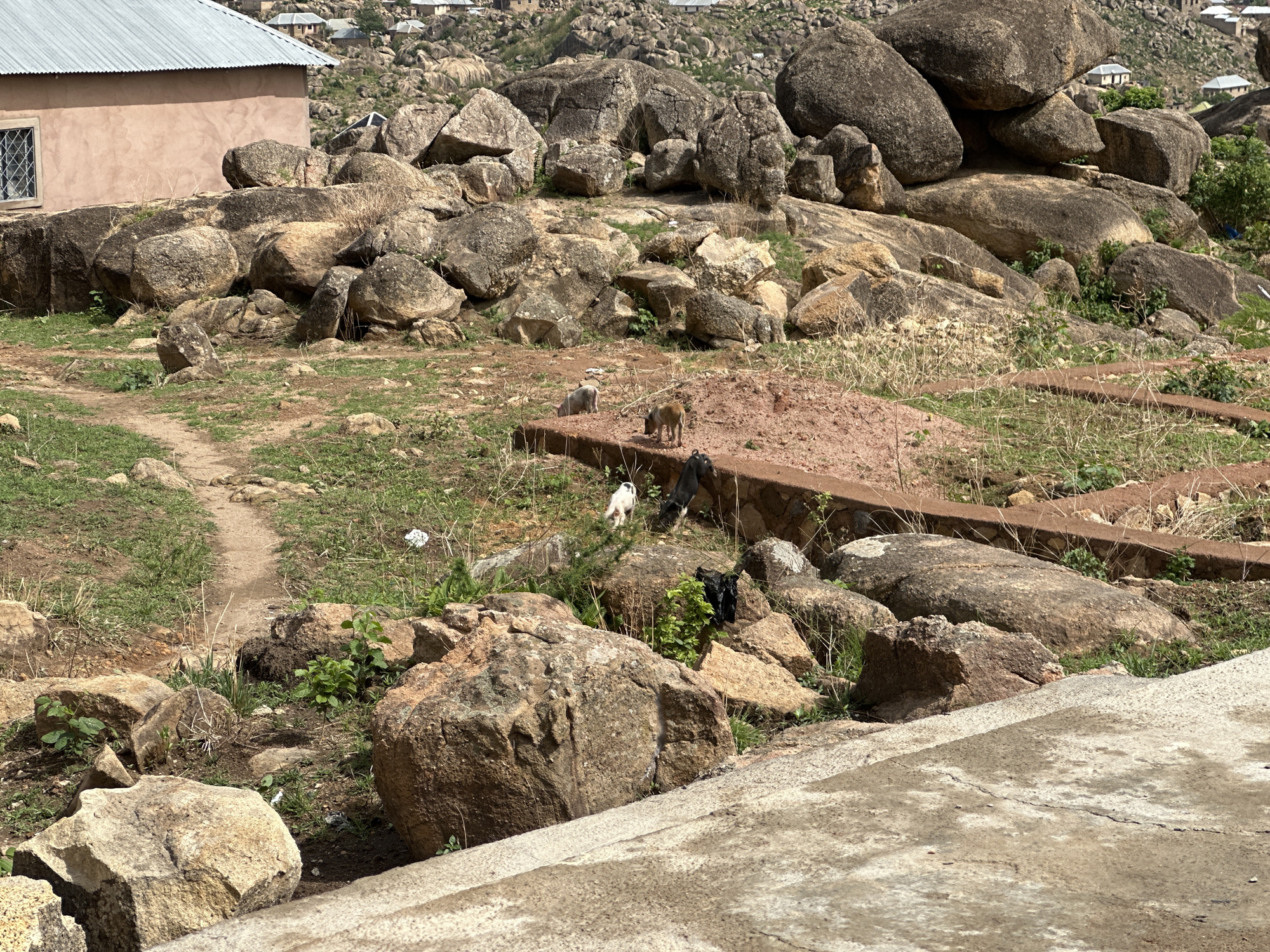 The image shows a rocky landscape with a building partially visible on the left, likely located in or near Jos, Nigeria, given the typical rock formations and vegetation in that area. In the foreground is a concrete surface. A dirt path winds through the rocks and vegetation. Several small animals, possibly goats or dogs, are present on a raised dirt area framed by a low concrete border. Scattered trash and debris are visible among the rocks. In the background, more rocky hills and buildings can be seen. The scene appears to be a mixture of natural landscape and human habitation.