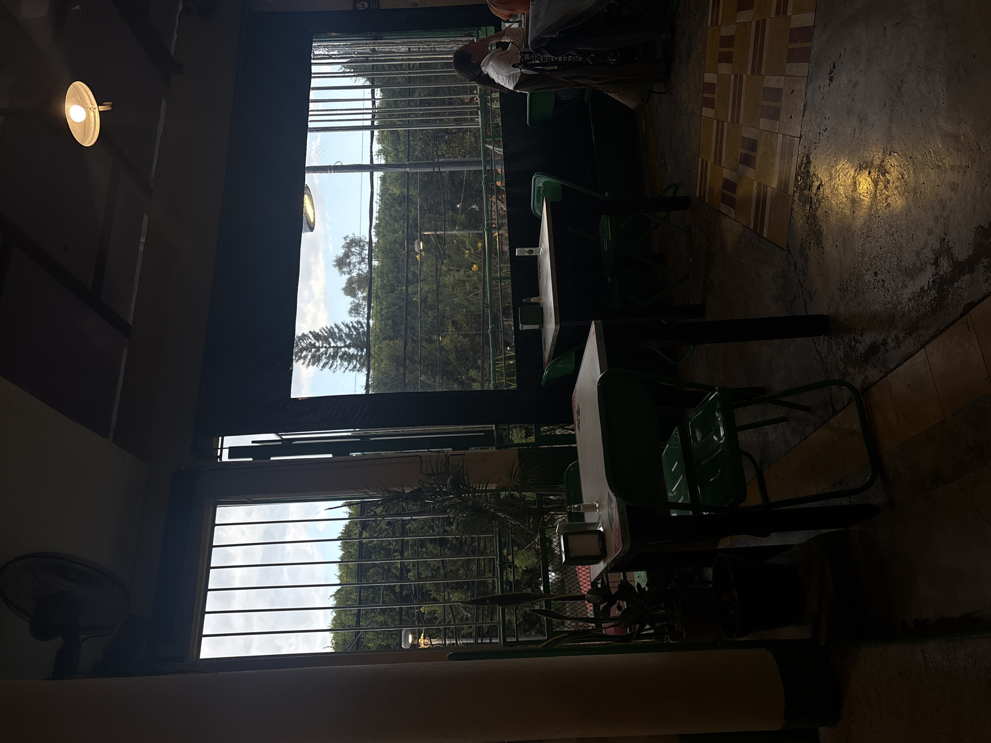 The scene depicts the interior of a dining establishment located in San Andrés Cholula, Mexico, observed from a slightly elevated vantage point. The indoor area is dimly lit, with natural light entering through large windows equipped with vertical security bars. Overhead, a ceiling fan is mounted, and a single exposed lightbulb in a metal fixture illuminates a section of the dark, paneled ceiling.
In the foreground, a rectangular table with a light-colored surface is present, accompanied by dark green metal chairs. On the table, a napkin dispenser and a salt and pepper shaker set are visible. Potted plants are positioned near the windows, enhancing the interior decor.
Through the barred windows, a verdant outdoor environment is visible, dominated by numerous trees and foliage, suggesting a natural or park-like area. A utility pole with a streetlamp stands outside, and overhead power lines are discernible. The sky beyond shows patchy clouds.
Towards the right midground, a female individual with long dark hair, wearing a light-colored collared shirt, is seated at another table with a dark green chair. She is facing right, her hand near her chin, suggesting contemplation or engagement with an unseen individual or activity off-frame. A portion of another person, clad in an orange top, is partially visible at the same table.
The flooring consists of a combination of dark concrete and sections of patterned tiles in beige and brown geometric designs. A reflection of light is visible on the concrete floor, possibly from the overhead fixture or an external source.