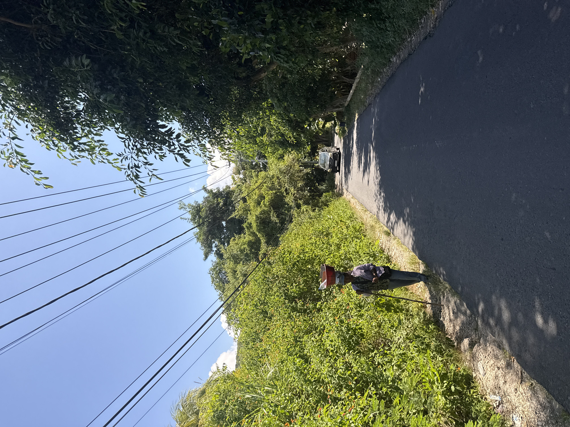 A slightly rotated medium shot depicts a road scene in Batununggal, Indonesia, during daylight. A person stands on the overgrown shoulder of a paved road, next to a grassy embankment covered with shrubs and plants. The person is carrying a large red and brown container on their head and holding a long stick. A gray car is parked further down the road, near trees. Power lines crisscross the blue sky with sparse clouds. A canopy of trees hangs overhead. The asphalt road surface reflects sunlight.