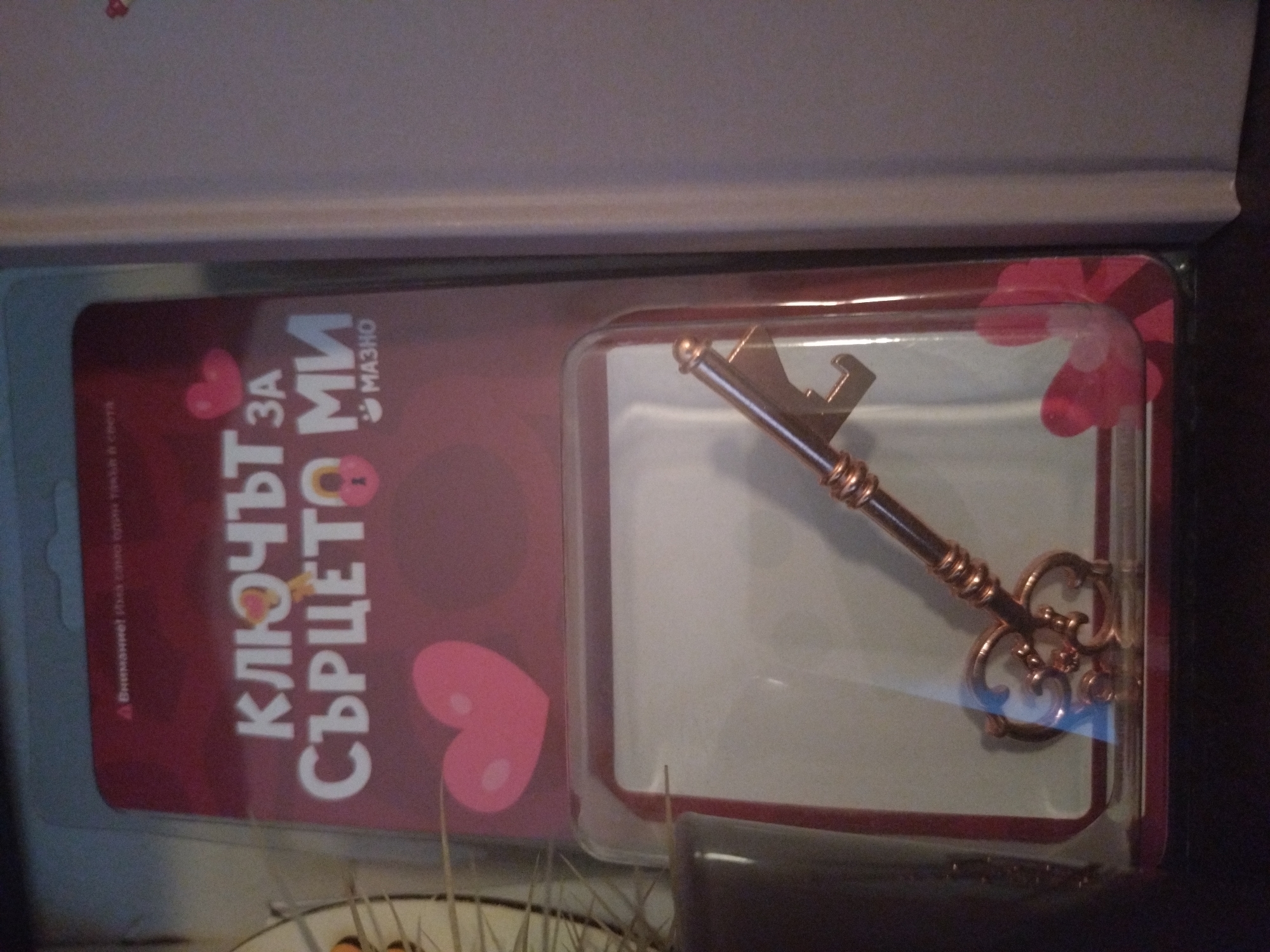 The image displays a gift item, an ornate, antique-style key, presented in clear plastic packaging against a reddish-pink cardboard backing. The key itself is metallic, appearing in a bronze or copper tone, featuring intricate designs on its handle and bow.
The packaging's design revolves around a romantic theme, adorned with multiple pink heart graphics. Prominently featured text on the cardboard backing is in Bulgarian: "КЛЮЧЪТ ЗА СЪРЦЕТО МИ," which translates to "The key to my heart." Below this main phrase, the word "МАЗНО" (Mazno), possibly a brand name, is visible in smaller text. A small warning or attention notice, starting with "Внимание!" (Attention!), is partially legible in the upper left corner of the card.
The item appears to be housed within a larger box or display structure, indicated by the visible edges at the top and bottom of the frame. The setting is indoors, with no specific time of day or weather discernible. The overall presentation suggests the key is intended as a symbolic romantic gift or a token of affection, aligning with the emotional cues from the text and heart motifs. The Bulgarian text reinforces the location context of Stara Zagora, Bulgaria.