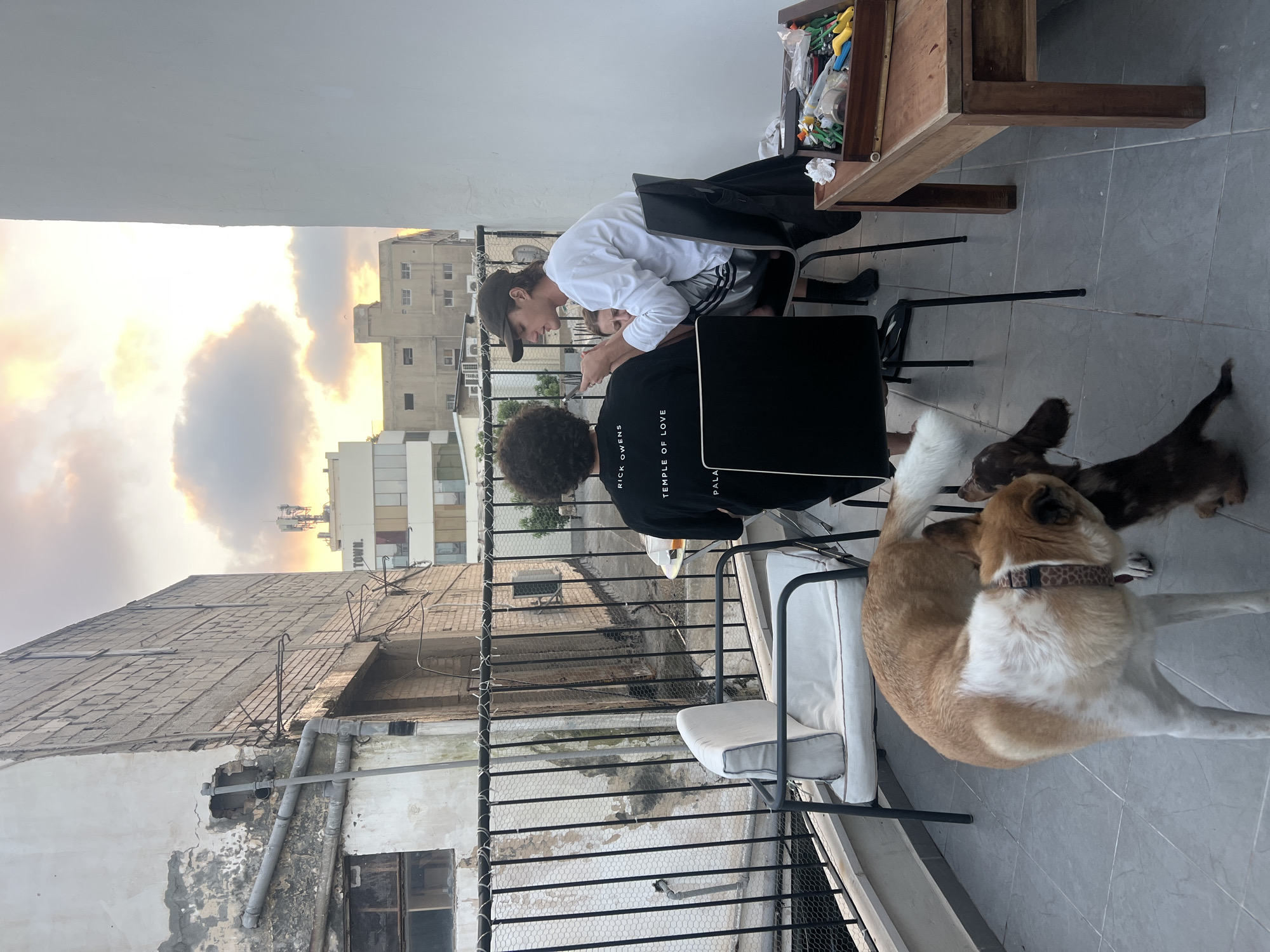 The image depicts an outdoor balcony in Tel-Aviv, Israel, with a view of adjacent buildings and the sky during sunset. In the foreground, two dogs are visible on the tiled floor; a larger, tan and white dog is looking down, and a smaller, dark brown dog is partially obscured behind it. On the balcony, there are chairs and a table. Three people are present: one individual with curly dark hair is seated, wearing a black t-shirt with white text that reads "RICK OWENS TEMPLE OF LOVE." Another person, wearing a white long-sleeved shirt, a baseball cap, and silver shorts, is seated and appears to be looking at a phone. A third person is partially visible between them, leaning back. A wooden table with various items, including what appears to be a craft or art supply box, is situated on the right side of the balcony. The background shows the urban environment with buildings, some in disrepair, and utility infrastructure. The sky is a soft gradient of orange, yellow, and grey clouds, indicating the end of the day.
