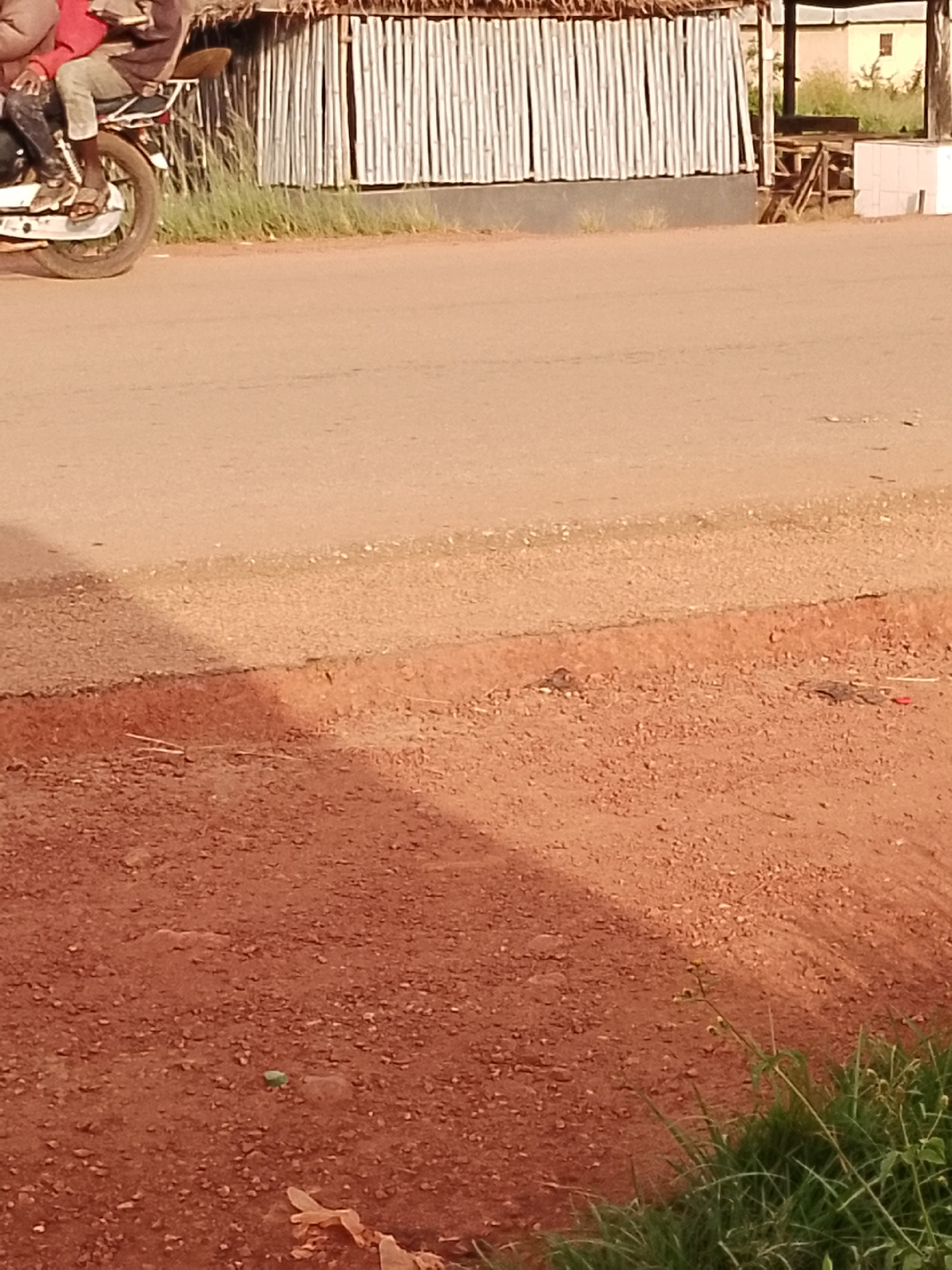 The image shows a motorbike with two people riding on it, moving from left to right across a dirt road. The motorbike is white with a dark seat and a brown saddlebag. The people are partially visible, with one person in front wearing a red top and the person behind wearing a brown and dark-colored outfit. They are both wearing sandals. Behind the motorbike is a structure with a thatched roof and vertical white walls, possibly made of corrugated metal or bamboo. Grass and some foliage are visible in front of and behind the structure. The road is reddish-brown, characteristic of the soil in Agwala, Nigeria. The ground in the foreground is also reddish-brown and appears to be a shoulder of the road with small pebbles and some sparse vegetation, including green grass and a few weeds with small seed heads. The lighting suggests it is daytime, possibly late morning or early afternoon, with sunlight casting shadows. There is no visible text in the image. The scene appears to be a rural or semi-rural setting in Nigeria.