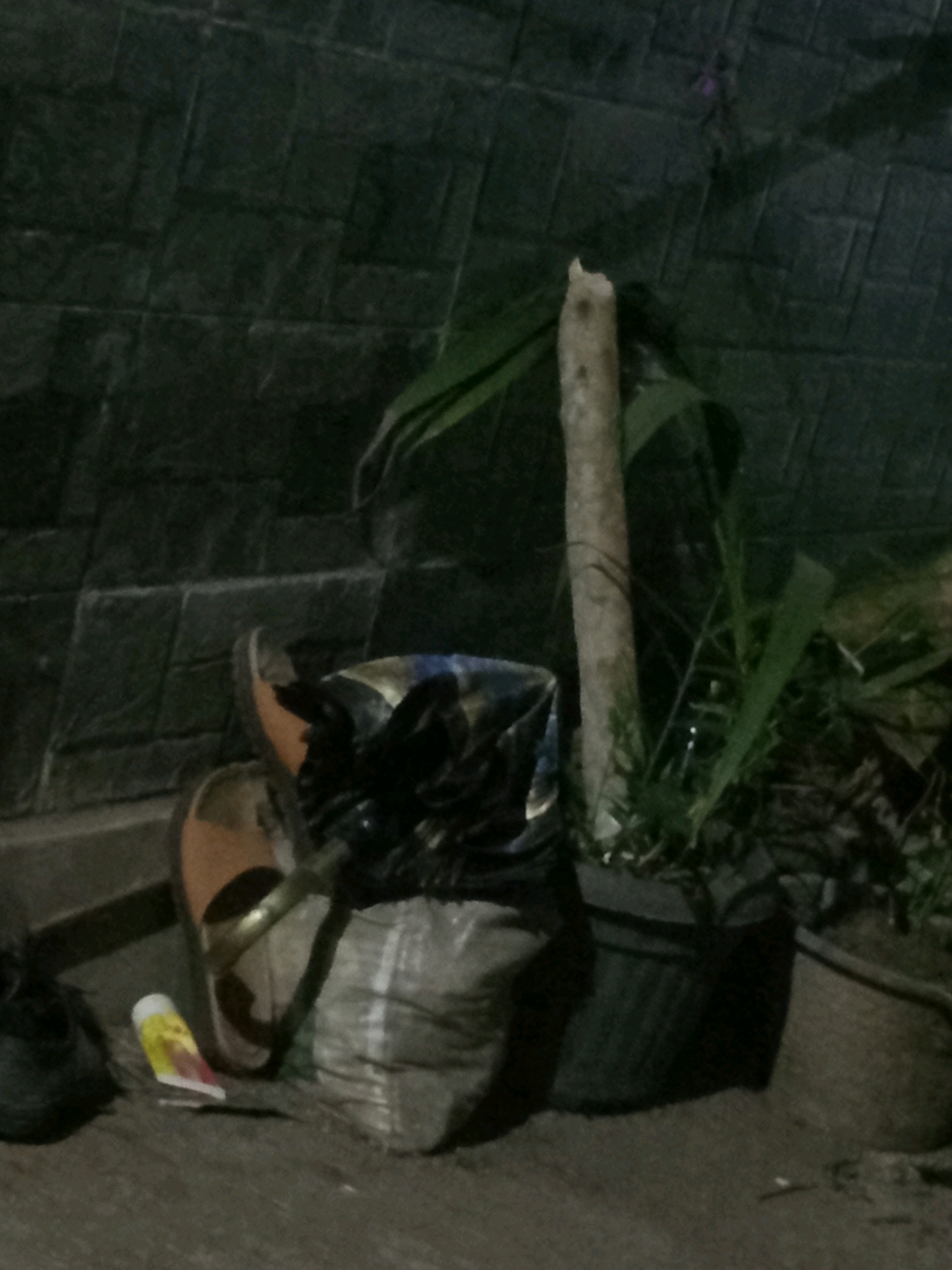 The image depicts an outdoor scene at night in the city of Karang Sari, Indonesia. In the foreground, on a paved surface, lies a single brown sandal. To the left of the sandal is a black plastic bag, and next to that, a crumpled tube of toothpaste, possibly with a red and yellow label. Further to the right is a large, lumpy, grey plastic bag. Behind the grey bag is a black plant pot containing green leafy plants. A rough, light-colored wooden stick stands vertically in the soil of the plant pot, with its top broken off. The background features a textured dark wall, appearing to be made of brick or stone. The lighting is dim, suggesting nighttime or a poorly lit area. There are no people visible in the image. The scene appears to be a collection of discarded items and a potted plant, possibly in an alleyway or an outdoor storage area.