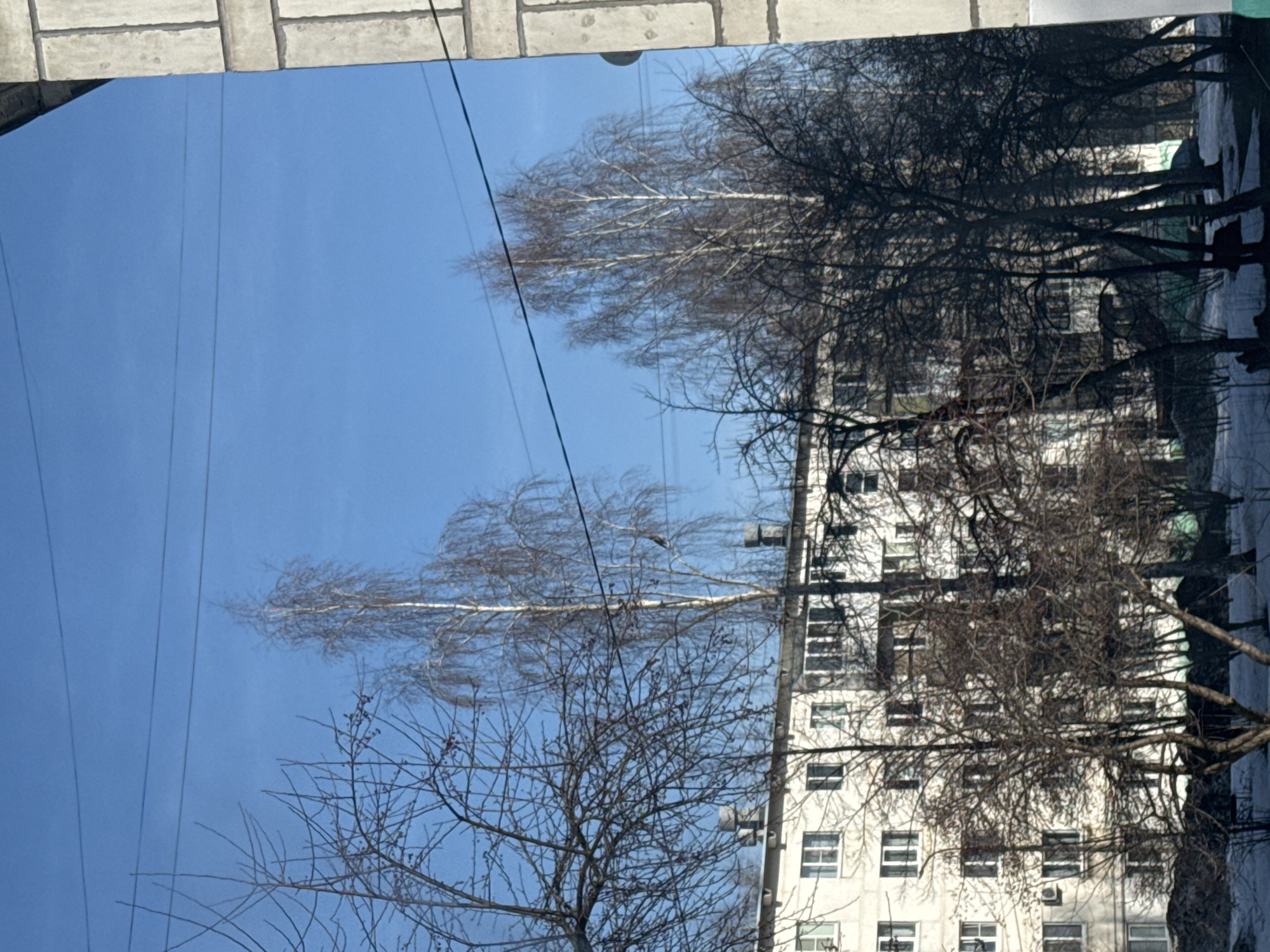 The image shows a reflection of a building and trees in a window, likely in Chaikovsky, Russia, given the prompt's context. The sky is clear and blue, with power lines visible. The building is white with multiple windows. The trees are bare, suggesting it is either late autumn or winter. There are no people visible in the reflection.