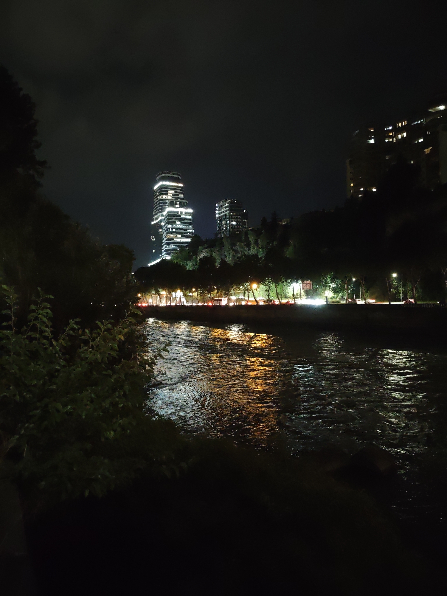A nighttime cityscape scene in Tbilisi, Georgia, features a river flowing in the foreground, reflecting the lights from a street lined with trees and buildings on the opposite bank. Two prominent modern skyscrapers, one illuminated with white and gold lights and the other with visible window lights, stand out against the dark sky. The water has a rippling surface, creating shimmering reflections of the lights. A line of streetlights and vehicle headlights are visible along the road, suggesting traffic. On the left side of the image, dark trees and foliage partially obscure the view of the riverbank. The overall atmosphere is urban and nocturnal, with artificial lights illuminating the scene against the darkness of the night.