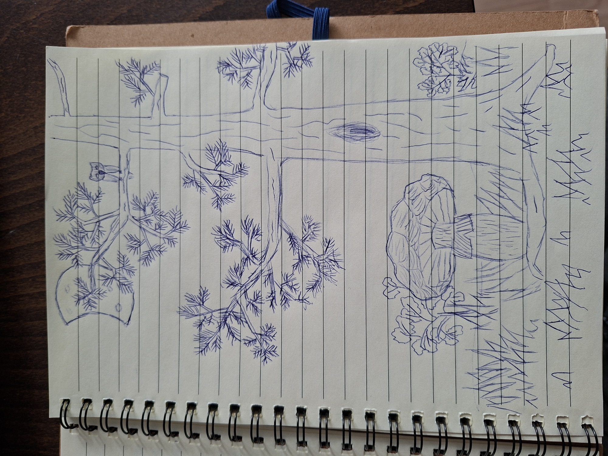 The image is a sketch in blue ink on a lined notebook page. The sketch depicts a fallen tree trunk oriented horizontally across the page. The tree trunk features several branches with pine-like needles. There is a hole drawn in the center of the trunk. To the right of the trunk, there are several vertical lines possibly representing grass or other foliage. There is an owl next to the trunk. There are no clear landmarks to suggest a specific location in Plovdiv, Bulgaria.