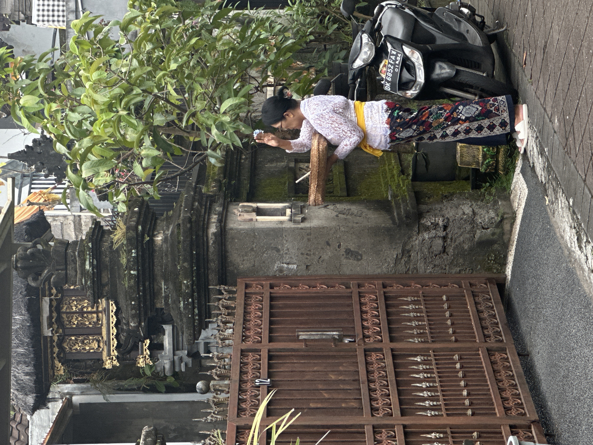 In Dalung, Indonesia, a woman in traditional Balinese attire - a white lace top, yellow sash, and patterned skirt - leans over a wooden post. She holds a small white flower in her outstretched hand, appearing to examine it. Behind her, a black motorcycle is parked on the paved street, its license plate reading "DK 6852 FAY" and "01.24". A lush green tree branches out above her and the motorcycle. In the background, a weathered stone temple structure, embellished with intricate gold details, is partially visible, adjacent to a rusty, ornate metal gate. A concrete building structure is behind the woman. Moss covers a section of the stone and concrete. The scene suggests a blend of daily life and religious tradition in Bali.