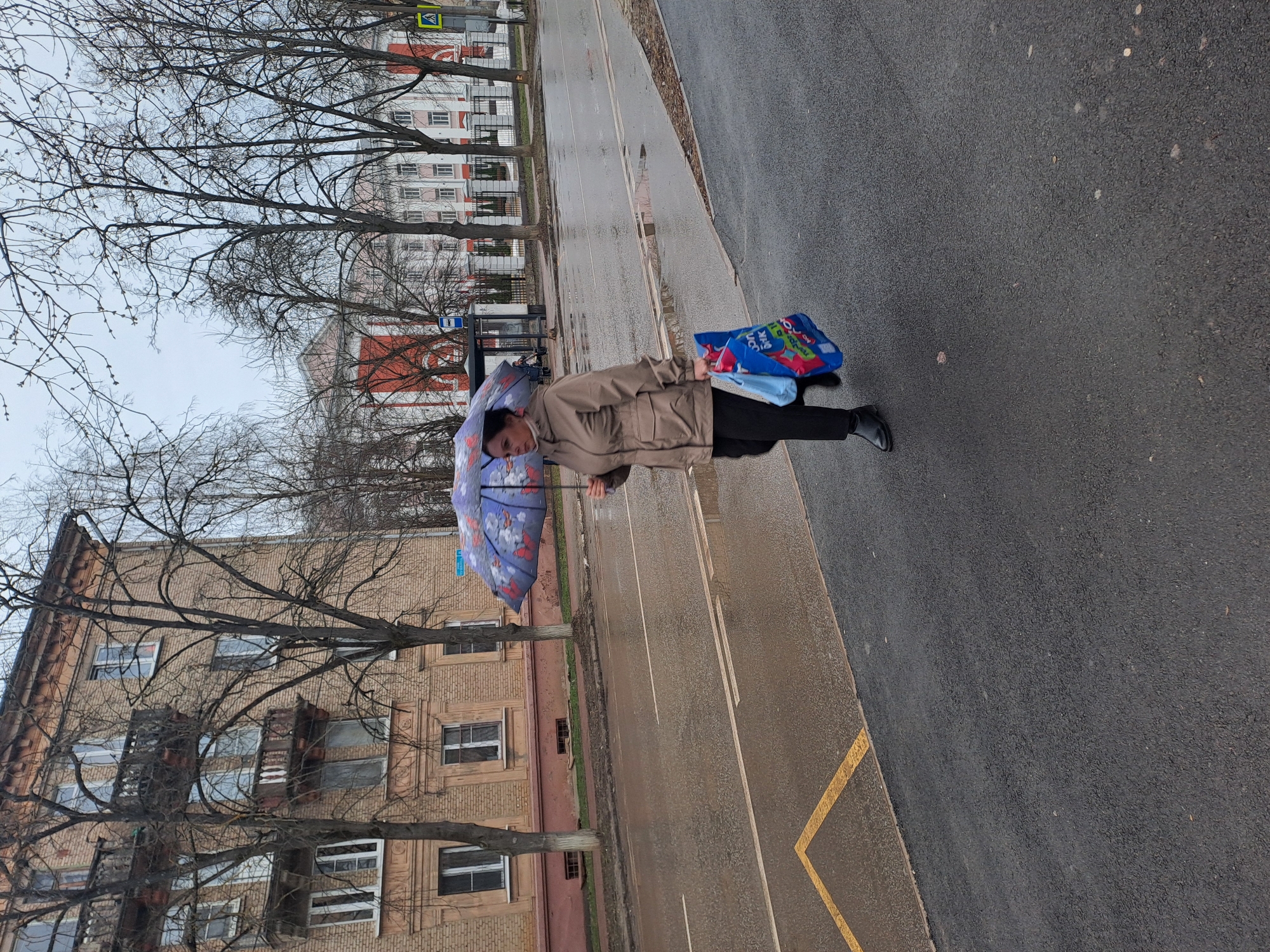 The image shows a person walking on the side of a road in Elektrostal, Russia. The person is holding an umbrella and several shopping bags. The road appears to be wet, and the sky is overcast, suggesting it has been raining or is about to rain. Buildings are visible in the background, including residential buildings with trees in front. The roadside has markings indicating parking or traffic lanes. The trees in the image are mostly bare, likely indicating a late autumn or early spring season.