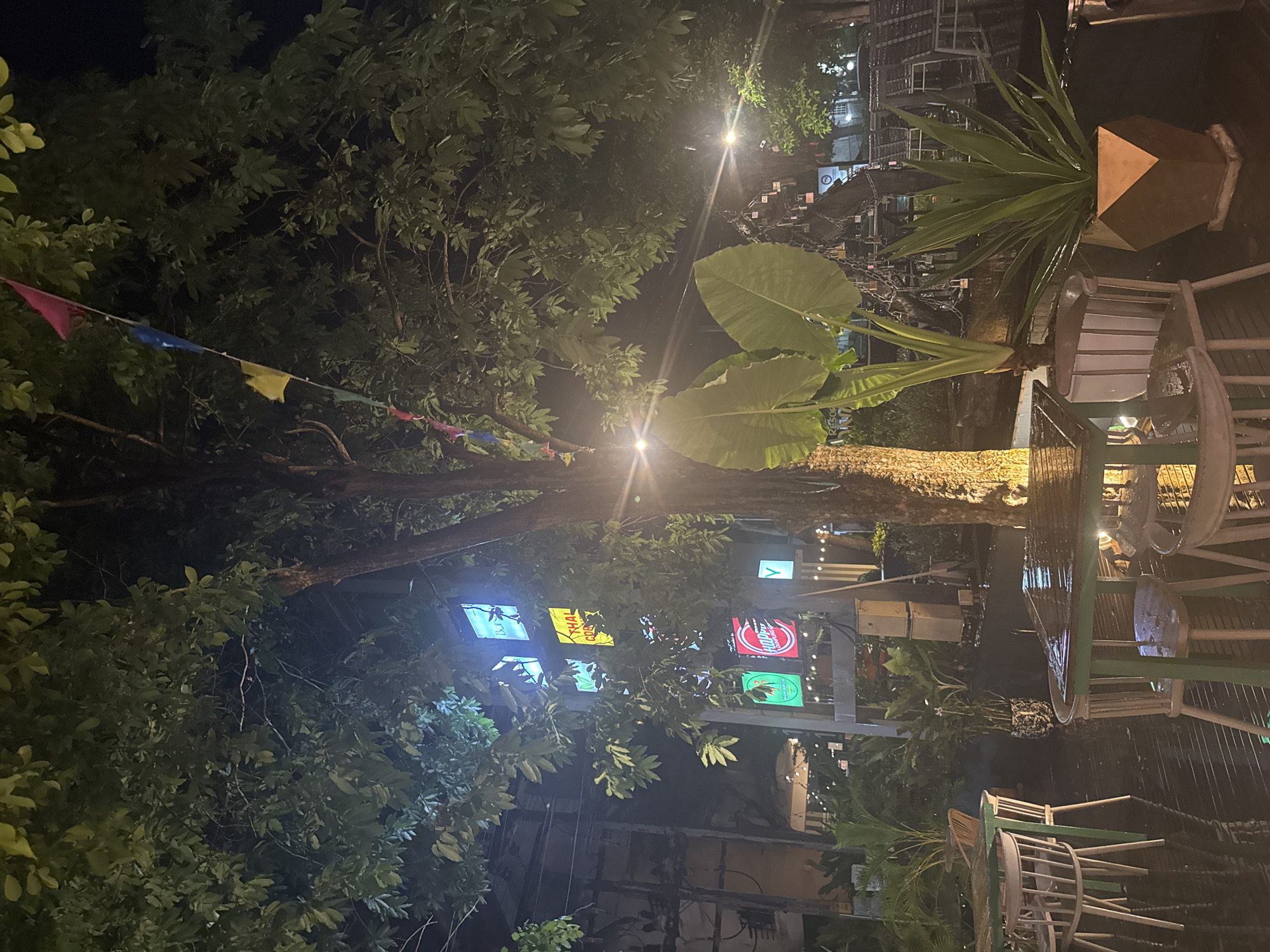 This media file depicts an outdoor scene at night. The primary subjects are lush green foliage, several illuminated signs, and outdoor furniture. The foliage appears to be from trees and large plants, creating a canopy and framing the scene. Amongst the leaves, colorful triangular flags are strung across a wire.
The illuminated signs are a significant feature, displaying various logos and text. One sign appears to be red with white text, another yellow with black text, and a third is green with white text and a drawing of a leaf. The signs suggest a commercial or entertainment area, possibly a restaurant, bar, or shop.
Outdoor seating, including chairs and tables, is visible, some of which are stacked. A large plant in a geometric planter is also present. The overall setting suggests an outdoor dining or gathering space.
The time of day is clearly night, indicated by the darkness and the illumination of the signs and lights. The lighting in the scene creates a somewhat atmospheric and perhaps inviting ambiance. There are no people visible in the frame, and the weather appears calm, with no indications of rain or wind affecting the foliage. The location is not explicitly identified but could be a street or courtyard in a city or town. The emotion conveyed is one of a lively, illuminated evening setting.
