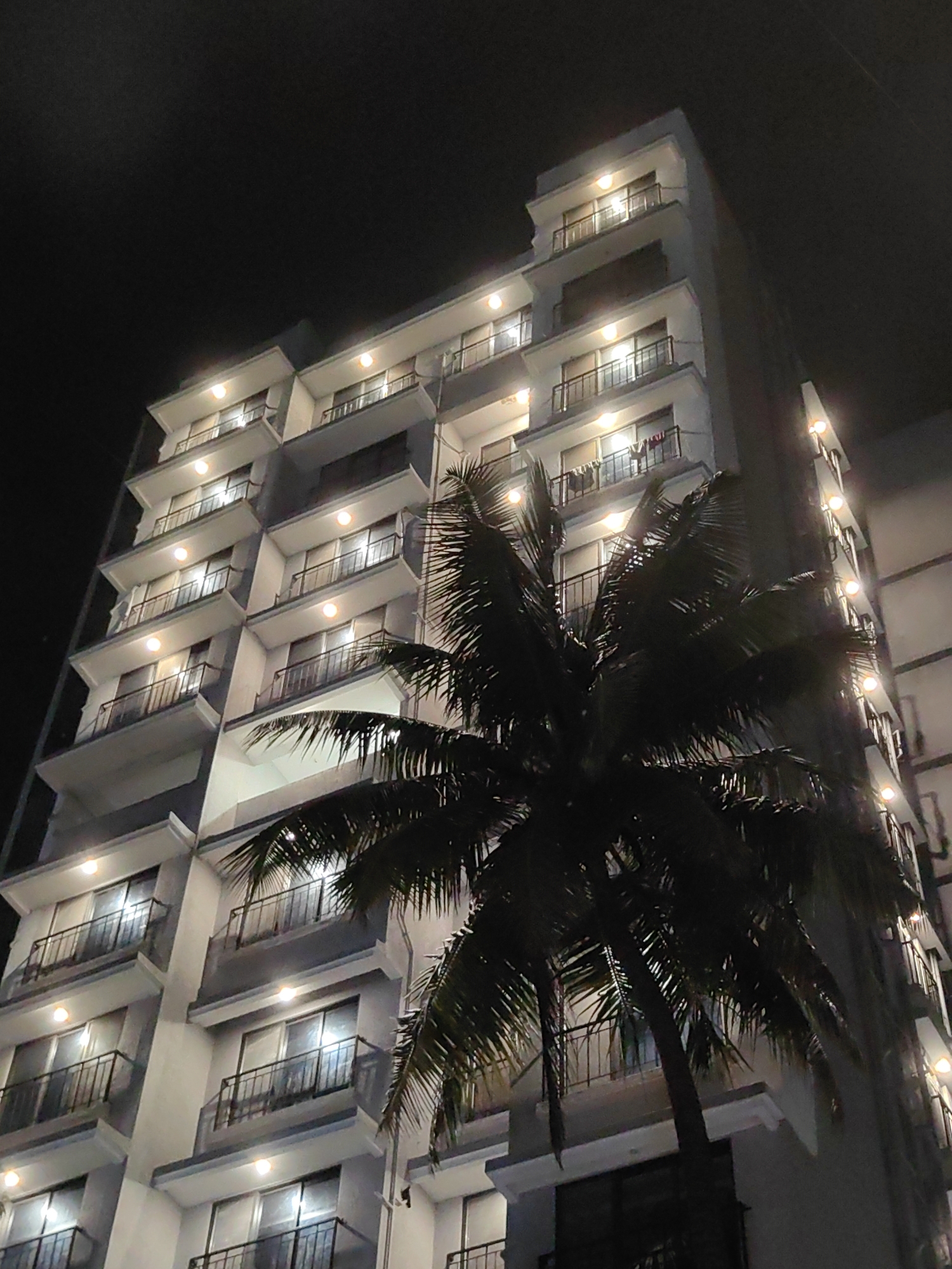 The image shows a modern, multi-story building at night. The building has several floors, each with balconies and large windows. Lights are on inside many of the rooms, and lights are also visible along the exterior of the building, illuminating the balconies. A large palm tree is in the foreground, its fronds silhouetted against the building and the night sky.
The scene appears to be set in a warm climate, likely a city, given the architectural style of the building and the presence of the palm tree. The time of day is clearly night, indicated by the dark sky and the illuminated interior and exterior lights of the building. There are no visible people or specific objects of note, other than the building itself and the palm tree. The overall impression is one of a residential or hotel building at night, with the tropical vegetation adding a characteristic touch.
There is no visible text in the image. The location context is Mumbai, India, which is consistent with the presence of a palm tree and a tropical climate. The atmosphere is calm and quiet, as is typical of a nighttime scene in a residential area.