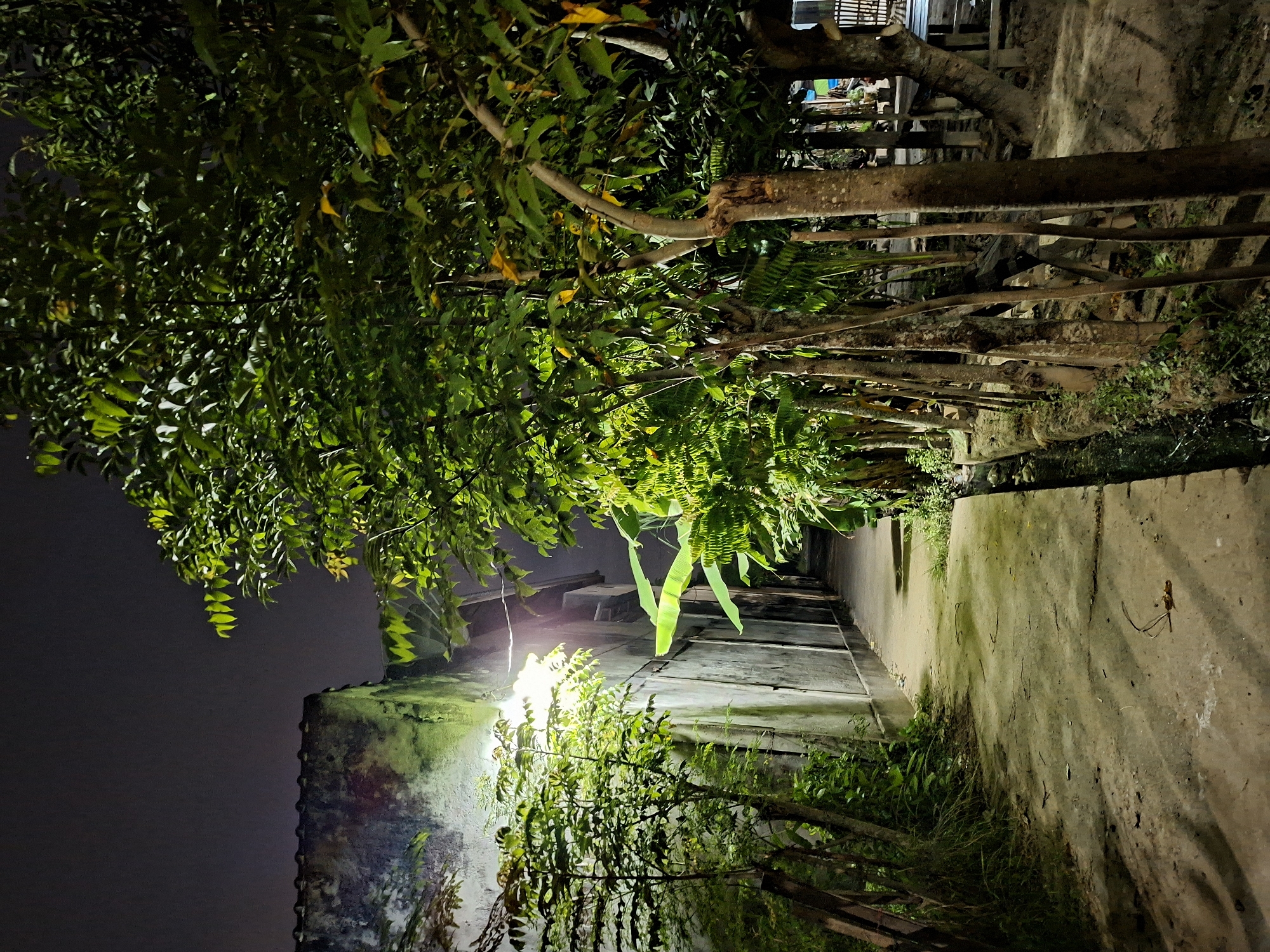 The image depicts an outdoor scene in Kutaglumpang, Indonesia, at night. A concrete walkway stretches into the distance, flanked on one side by a weathered wall and on the other by a row of trees. A street lamp illuminates the wall and part of the pathway, casting shadows. The trees have dense foliage, and some branches extend over the walkway. The sky is dark. A wooden structure is visible in the distance.