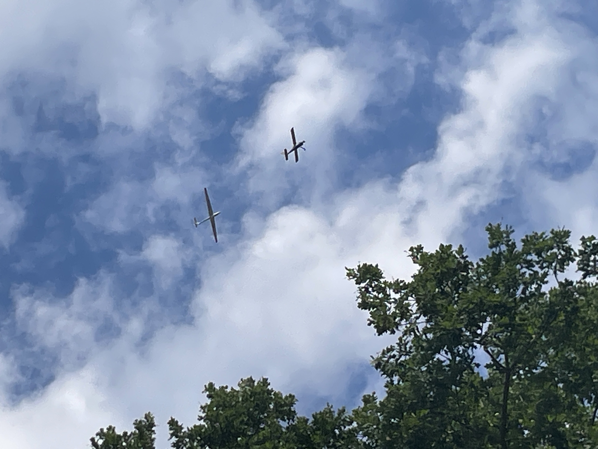 The media file shows a view looking up at a bright blue sky filled with white, puffy clouds. Two gliders, which are unpowered aircraft that rely on air currents for flight, are visible against the sky. The glider in the foreground is lighter in color and appears to be to the left, with its wings outstretched. The second glider is darker and positioned higher and to the right of the first, also with its wings extended. The bottom portion of the image is framed by the dense green foliage of trees, suggesting an outdoor setting on a clear day. The time of day is likely daytime, given the bright sky and clouds. There are no people visible, nor any text. The overall scene evokes a sense of peaceful flight and natural beauty.