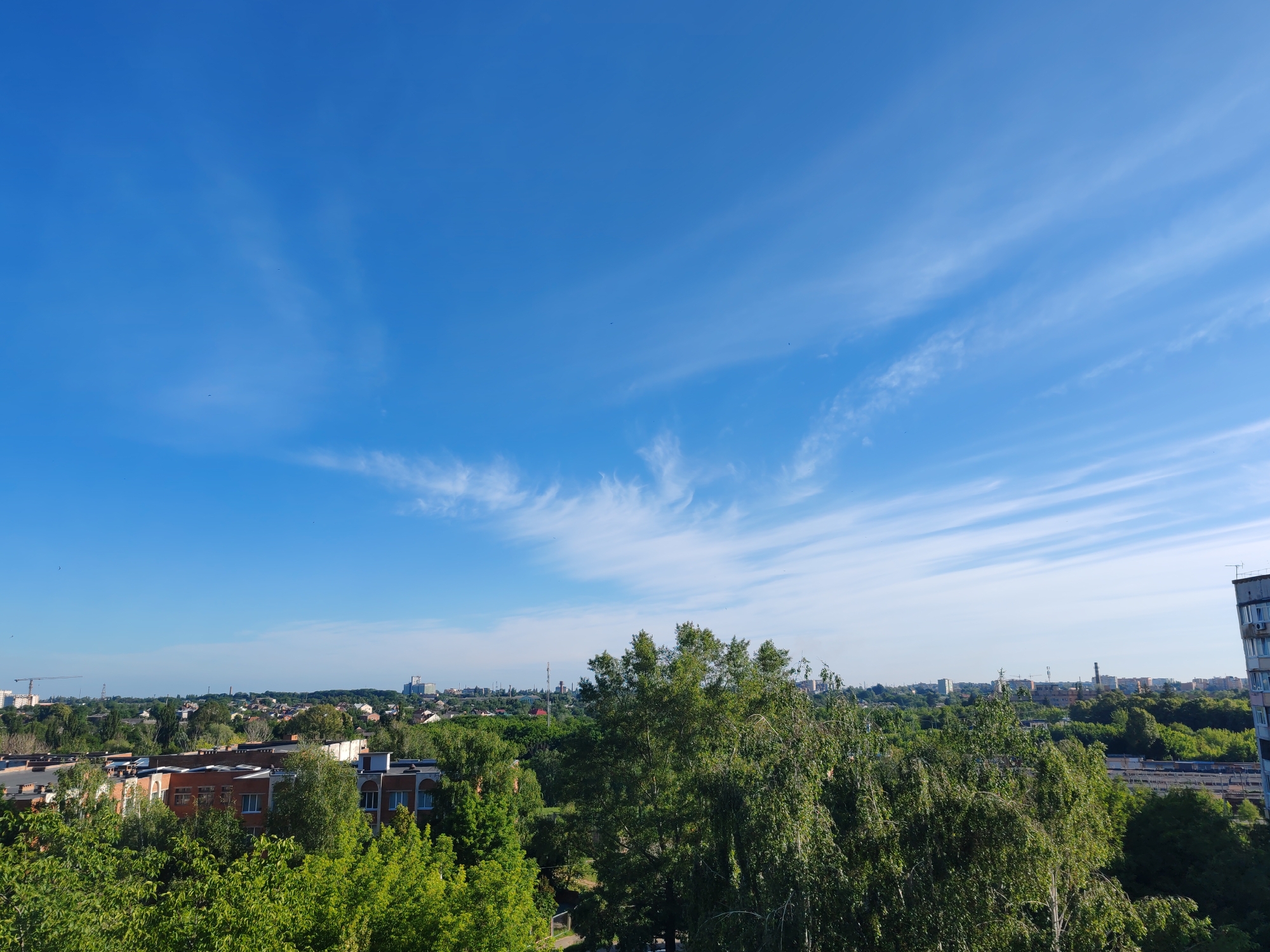 This image captures a panoramic view of the city of Poltava, Ukraine, under a bright blue sky dotted with wispy white clouds. The foreground is dominated by lush green trees, obscuring much of the lower cityscape. Behind the dense foliage, buildings of varying heights and architectural styles are visible, interspersed with more greenery. In the distance, a skyline of apartment buildings, industrial structures, and communication towers can be discerned. A construction crane is present on the left side of the image, indicating ongoing development within the city. The overall impression is one of a clear, sunny day in a moderately developed urban area with significant tree cover.