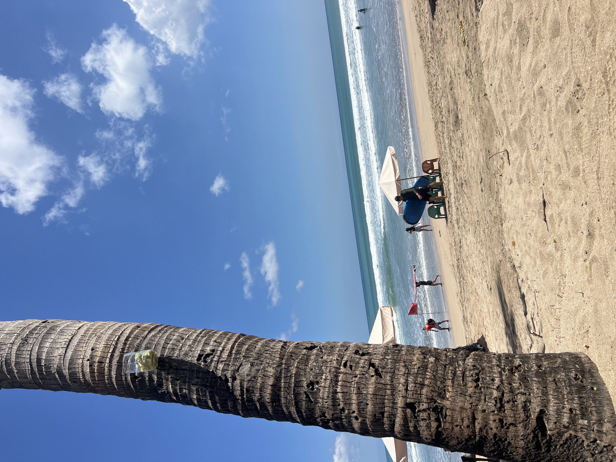 A beachfront scene is captured in Kuta, Indonesia, on a bright, sunny day with a clear blue sky dotted with white clouds. In the foreground, the textured bark of a large palm tree dominates the left side of the frame. Attached to the trunk is a clear plastic bottle containing what appear to be green objects.
The midground of the image reveals a sandy beach with gentle waves lapping at the shore. Several people are present. Underneath a beige umbrella, a person is standing next to a blue surfboard, with two plastic chairs nearby. Further along the beach, two individuals are walking, one carrying a red flag on a pole and the other carrying a surfboard. In the distance, several people are visible in the ocean, either swimming or wading. The overall atmosphere is one of a typical beach day, with a sense of relaxation and recreational activity.