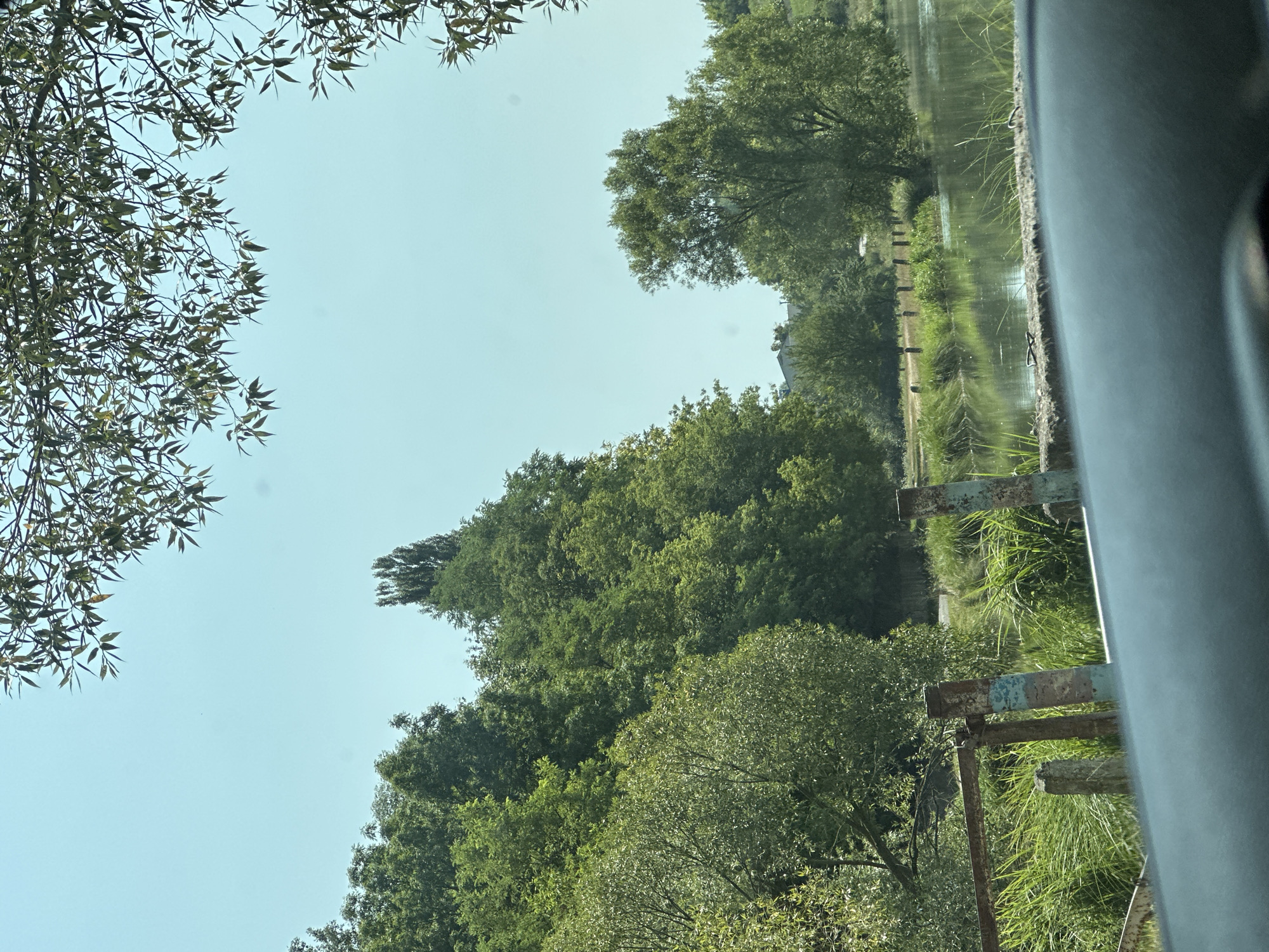 The image shows a serene view of a body of water surrounded by lush green trees and vegetation. In the foreground, a rustic fence made of metal and weathered posts separates the viewer from the water. The fence has a slightly aged appearance, with some posts showing chipped paint in shades of blue and white. Beyond the fence, tall green grass lines the edge of the water.
The water itself is calm, with reflections of the surrounding trees visible on its surface. In the background, a dense forest of various trees dominates the landscape, with some taller, more slender trees interspersed among the broader ones. The sky above is a clear, pale blue, with a few wispy leaves from a tree in the upper right corner hanging into the frame.
The scene appears to be a natural landscape, possibly a lake or pond, with a sense of tranquility and untouched beauty. The presence of the fence suggests human interaction with the area, perhaps indicating a park or recreational spot. Without further information, pinpointing the exact location within Makiv, Ukraine, is not possible from the image alone. However, the overall impression is one of a peaceful, natural setting.
