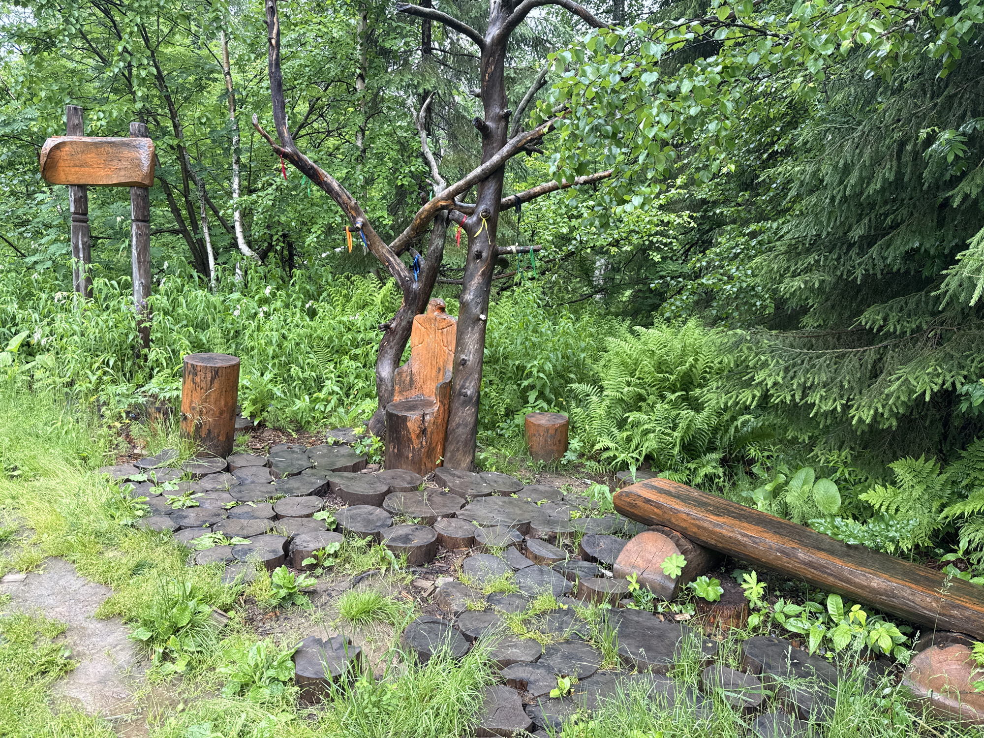 The image depicts a natural clearing in a forested area, possibly a park or recreational spot, in Usvya, Russia. In the foreground, a path is constructed from an array of dark, circular wooden log slices laid flat on the ground. The path is bordered by lush green grass and various small plants. To the left of the path, a stone or concrete slab is partially visible, also covered in grass and dirt.
Dominating the center of the scene is a large, gnarled, bare tree trunk with several thick branches extending outwards. Colorful ribbons are tied to some of these branches. In front of the tree trunk, a roughly carved wooden sculpture resembling a seated figure or a throne is visible. To the left of this tree, a rough-hewn wooden signpost stands, with a carved wooden plank at the top, pointing to the left.
Around the central tree and path, several single log stumps are placed, serving as natural seating. One larger log is laid horizontally in the lower right portion of the image, resting on top of log slices. The background is filled with dense green foliage, consisting of various trees, including some with broad leaves and others that appear to be evergreens, and abundant ferns. The overall impression is one of a serene, somewhat rustic outdoor setting. The lighting suggests an overcast or possibly rainy day, as the surfaces appear damp. There are no people or animals visible in the image.