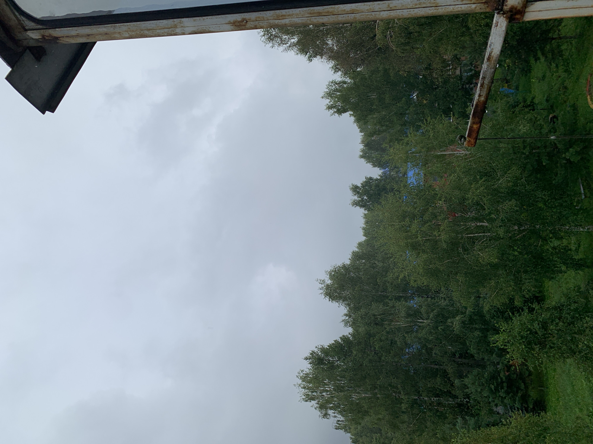 The image depicts an overcast sky over a dense forest. In the foreground, to the right, a rusty metal structure with a chain is visible, partially framing the scene. The trees are a mix of deciduous and coniferous species, with lush green foliage. Some blue-roofed structures are partially visible through the trees, suggesting a residential area or buildings within the forest. The overall impression is of a natural setting on a gloomy day, likely during the summer or early autumn due to the greenery. The specific location in Prokopyevsk, Russia, is not discernible from the visual elements alone.