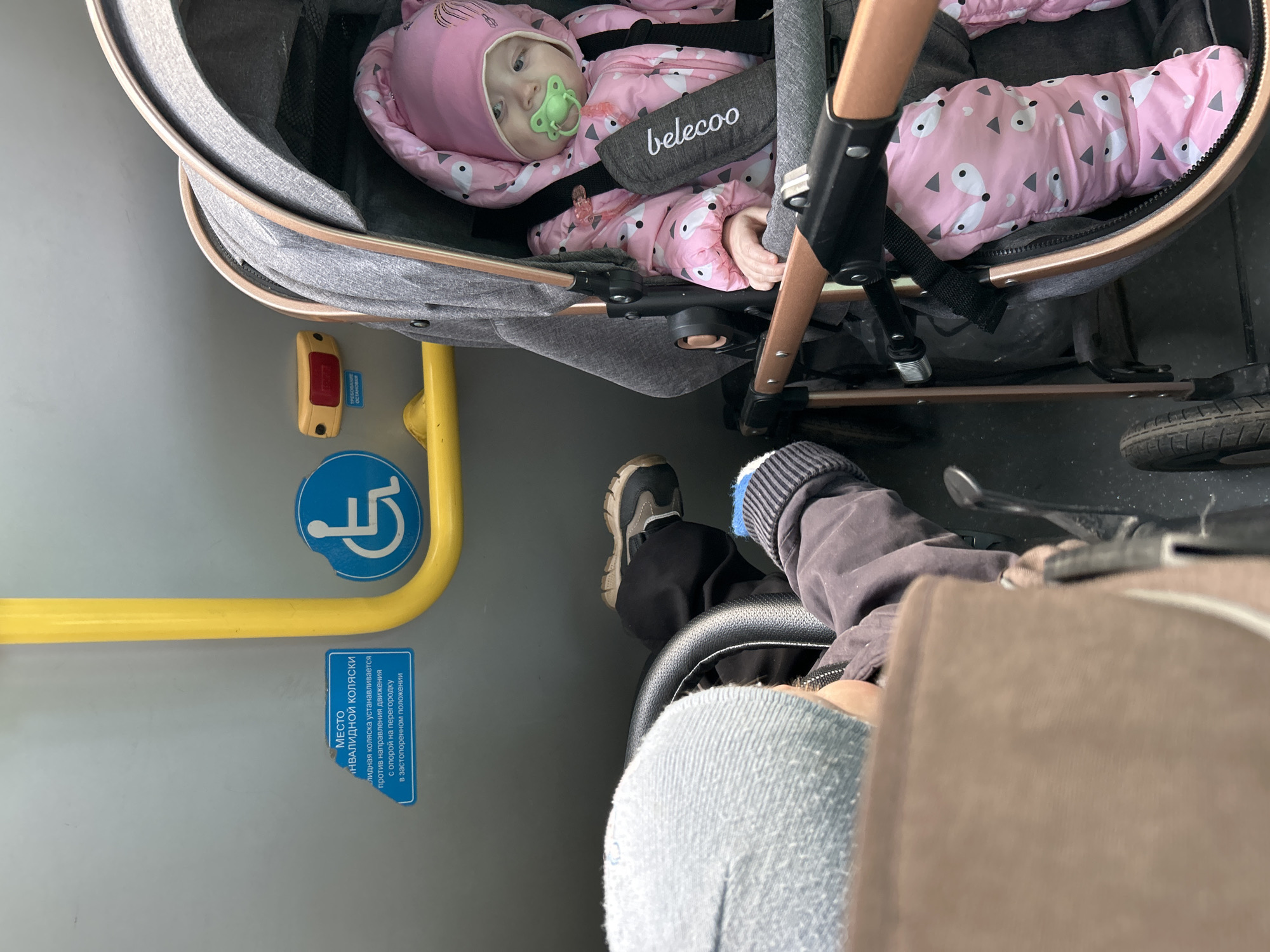 The image captures a scene within what appears to be public transport, likely in the city of Chaikovsky, Russia. A baby dressed in a pink patterned snowsuit lies in a stroller, visible from an elevated angle. The stroller has a grey body and a brand name, "belecoo," is displayed on the harness. Nearby, a sign with the international symbol for disability and Cyrillic text indicating that this area is designated for wheelchair users. The text instructs that wheelchairs should be positioned facing against the direction of travel and secured against the barrier in a locked position. A person is sitting in a seat adjacent to the stroller, only their lower body and one arm are visible, wearing dark trousers, a grey sneaker, a grey sweatshirt, and holding something in their hands, possibly a bag.