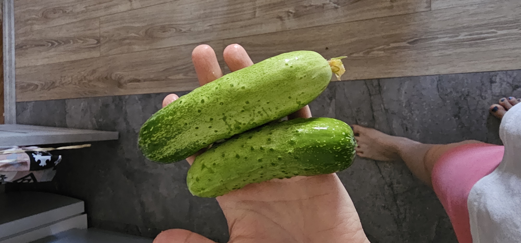 A person's hand holds two cucumbers. The cucumbers are bright green and have a bumpy texture. The hand and cucumbers are positioned over a floor that is partially tiled and partially made of wood. The image seems to be taken indoors, in what appears to be a kitchen or dining area, given the flooring and what looks like a cabinet in the background. There are no specific indicators of the location being in Шыңғырлау ауылдық округі, Kazakhstan.