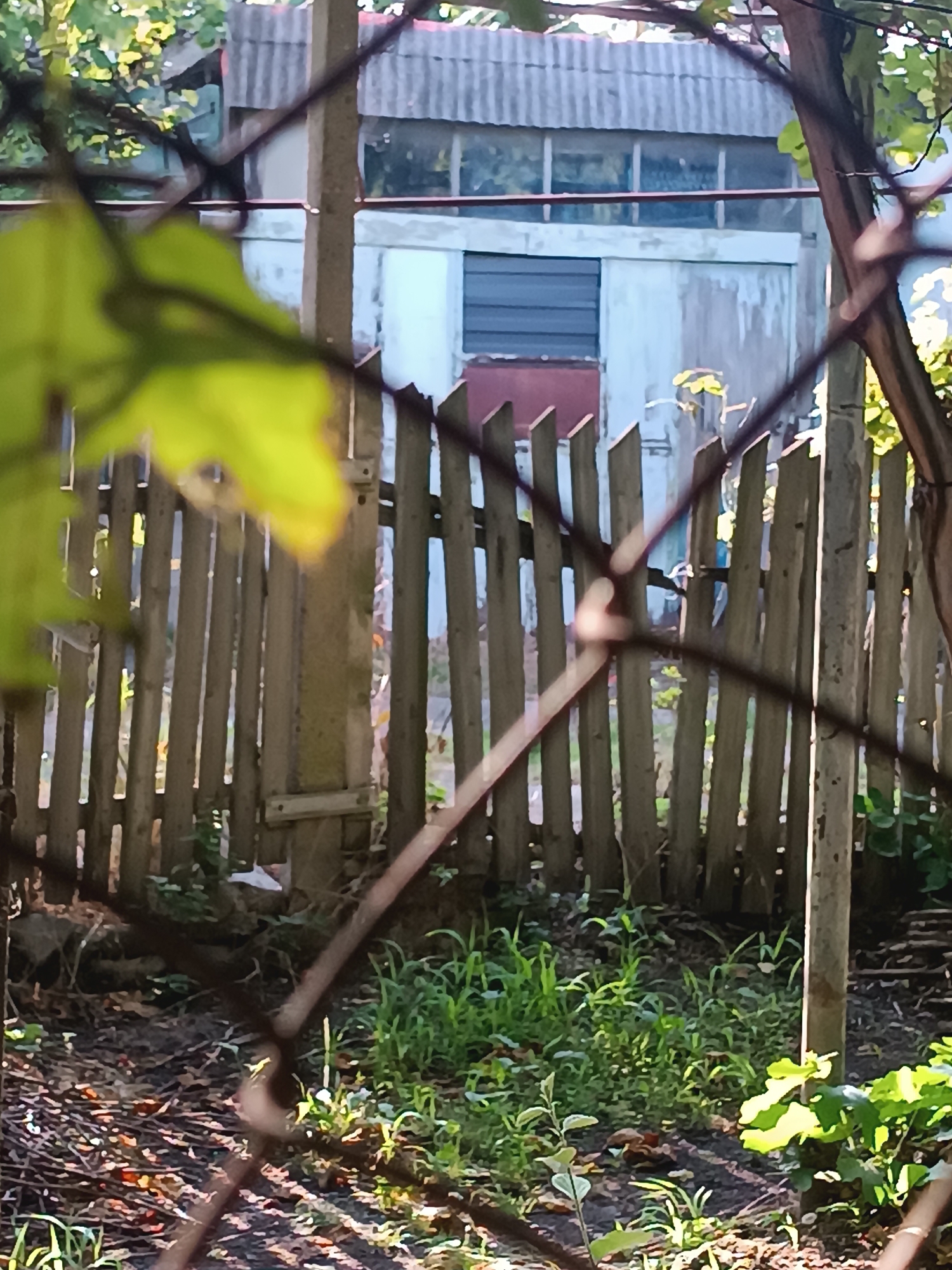 The image depicts a view through a wire fence of a weathered wooden fence in front of a light-colored, possibly concrete, building. The building has a corrugated roof and several windows, one of which appears to have a dark shutter or blind. In the foreground, out-of-focus green leaves and branches suggest foliage. The ground in front of the wooden fence is covered with dry leaves, twigs, and some patches of green grass. The scene appears to be an outdoor, possibly a backyard or undeveloped area, located in Khashuri, Georgia. The lighting suggests it is daytime, with sunlight casting shadows.