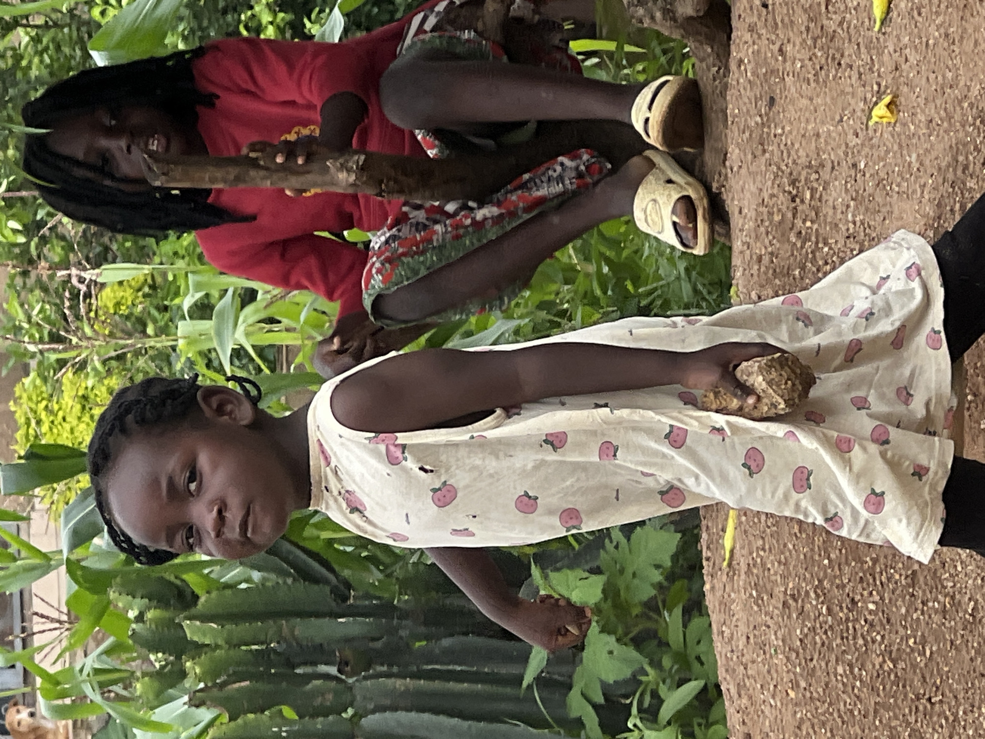 A young Black girl with braided hair, wearing a sleeveless white dress with a pink fruit pattern, walks toward the camera. She is holding a piece of root or vegetable in her right hand and has a neutral expression. Behind her, a slightly older Black child with dark, braided hair is seated on a tree branch, wearing a red long-sleeved shirt and a patterned skirt. The background consists of lush green foliage, including what appears to be corn stalks and other plants, suggesting an outdoor, possibly rural or semi-rural setting. The ground in the foreground is covered with small pebbles and dirt. The lighting appears to be natural daylight. This scene is set in the city of Jos, Nigeria.