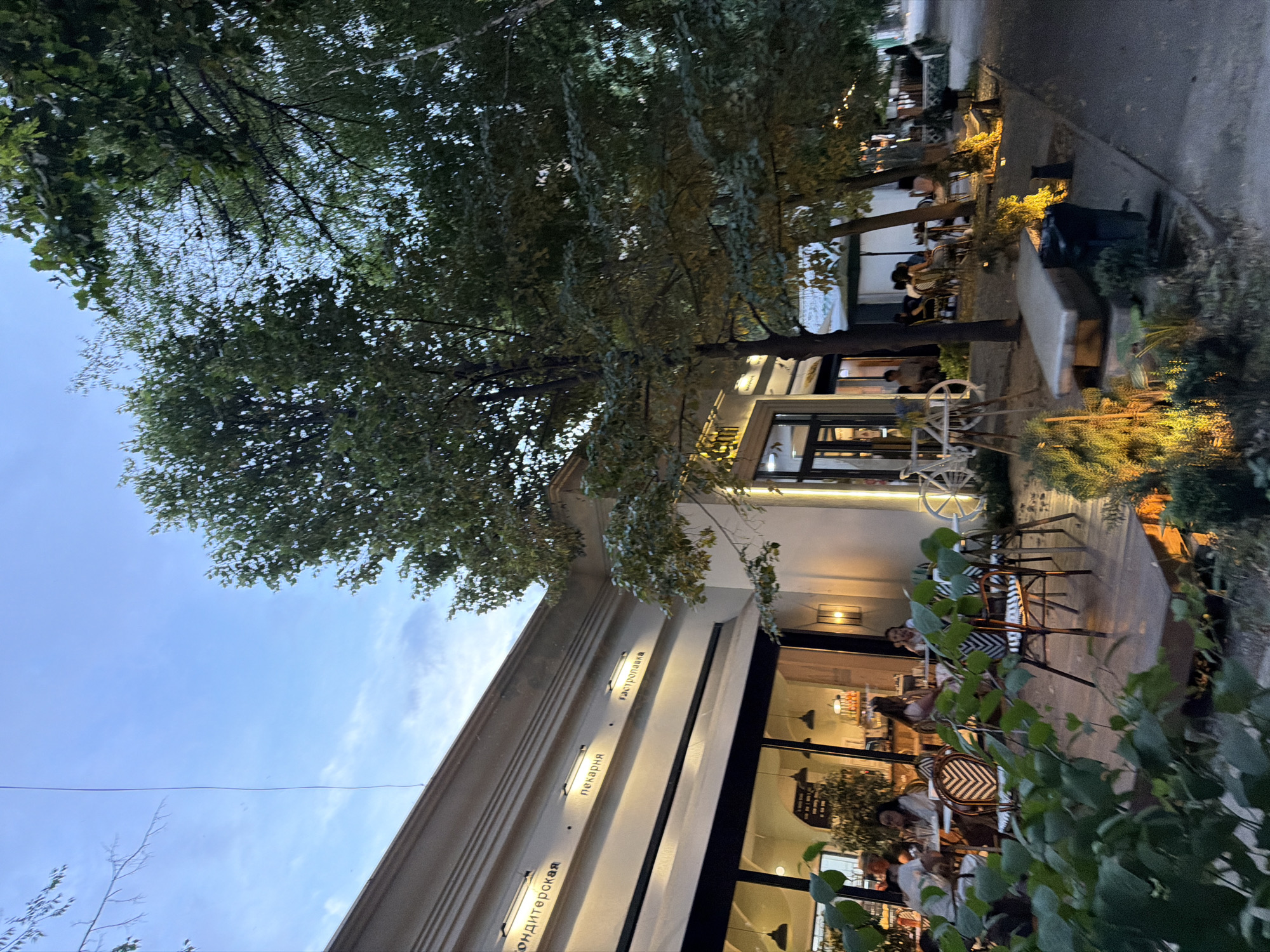 This media file captures an evening scene at a bustling outdoor cafe, likely in Bishkek, Kyrgyzstan, given the provided context. The photo is oriented sideways, showing a perspective looking upwards towards trees and the sky, and then downwards to the cafe itself.
The primary subjects are people seated at tables, enjoying their time at the cafe. They appear relaxed and engaged in conversation, suggesting a pleasant social gathering. Objects visible include numerous tables and chairs, some with distinctive black and white patterned cushions. A white decorative wheel is also present, adding a unique touch to the outdoor ambiance. The setting is an open-air establishment with a building featuring large windows, through which more seating and interior lights are visible. Lush greenery from trees and bushes frames the scene, contributing to a cozy and inviting atmosphere.
The time of day appears to be dusk or early evening, as evidenced by the soft, warm lighting emanating from the cafe and streetlights, contrasting with the twilight sky. The weather seems pleasant, suitable for outdoor dining.
Visible text on the building's facade, oriented sideways, reads "Кондитерская", "пекарня", and "Гастропанька". These Russian words indicate that the establishment is a confectionery, bakery, and possibly a "gastropub" or a place serving "gastronomic delights."