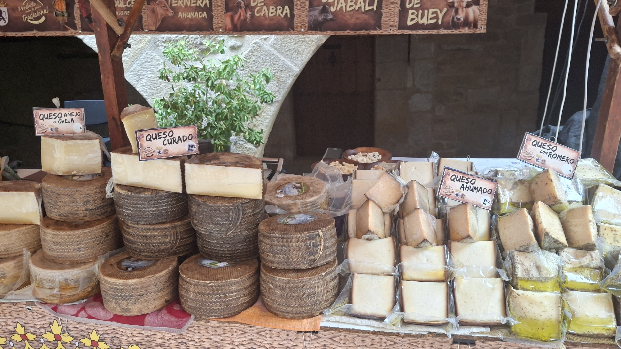 The image depicts a market stall in La Fresneda, Spain, showcasing a variety of cheeses. The stall is laden with large, round cheeses with woven exteriors, some stacked several high. In the background, larger blocks of pale yellow cheese are visible, some with dark rinds. Several smaller, triangular pieces of cheese are packaged in plastic wrap, some appearing to be seasoned with herbs. Signs in Spanish indicate the types of cheese available, including "QUESO ANEJO DE OVEJA" (aged sheep's cheese), "QUESO CURADO" (cured cheese), "QUESO AHUMADO" (smoked cheese), and "QUESO CON ROMERO" (cheese with rosemary). A green plant with leafy branches grows upwards behind the cheese display. The overall setting suggests an outdoor market, possibly a food festival or a regular market day, with a rustic stone wall and an arched opening visible in the background.