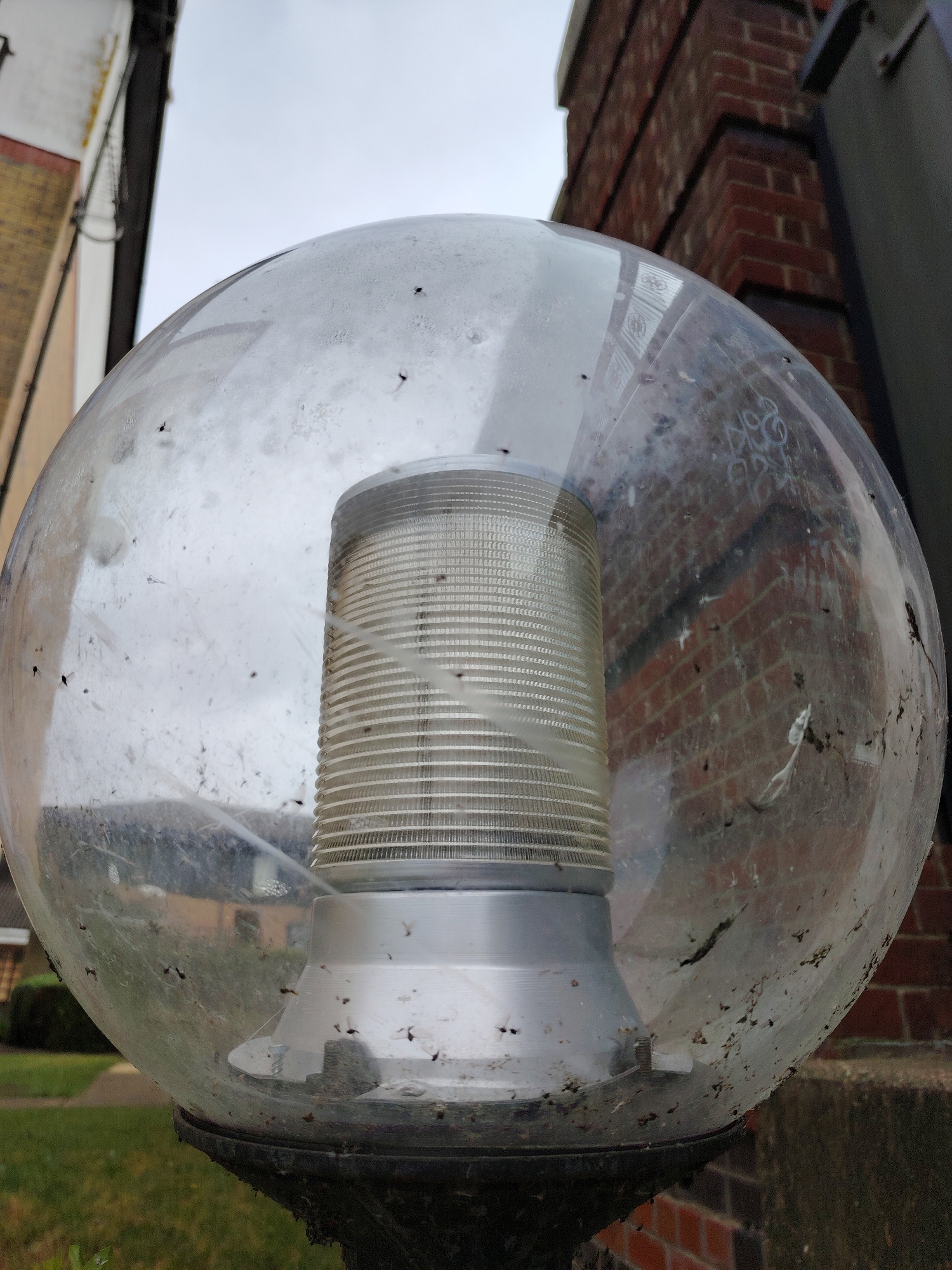 A close-up, upward-angled photograph depicts a heavily soiled, spherical street lamp globe with an internal light fixture, situated outdoors in Peterborough, United Kingdom.
The clear plastic or glass globe is extensively covered in dust, grime, and a significant number of small, dark insect carcasses, predominantly flies or gnats, adhered to both its exterior and interior surfaces. Fine, delicate spiderwebs are visible within the globe, connecting various internal points and entangling some of the debris.
Centrally positioned inside the globe is a cylindrical, ribbed light fixture constructed of a brushed metallic material, likely aluminum, featuring distinct horizontal striations. The base of this internal fixture is secured by at least one visible screw. The lower perimeter of the globe, where it connects to the lamp post (which is mostly out of frame), is also thickly encrusted with dirt and organic matter.
In the background, an overcast, pale grey sky occupies the upper portion of the image. To the left, an out-of-focus building with a lower section of light-colored (yellowish-beige) brickwork and an upper white facade is partially visible, alongside a dark vertical drainpipe. To the right, another out-of-focus building with red brick construction and prominent stepped corners is present. Reflections of nearby structures, possibly including patterned railings or windows, are discernible on the dirty surface of the globe. Faint, light-colored graffiti-like markings, such as '80s' or 'Sox', are visible on the globe's surface, particularly overlying the red brick background on the right. A dark grey structural element is partially visible on the far right edge of the frame. A patch of green grass is visible in the lower-left background, suggesting a lawn or verge. The lighting is natural and diffuse, consistent with an overcast day.