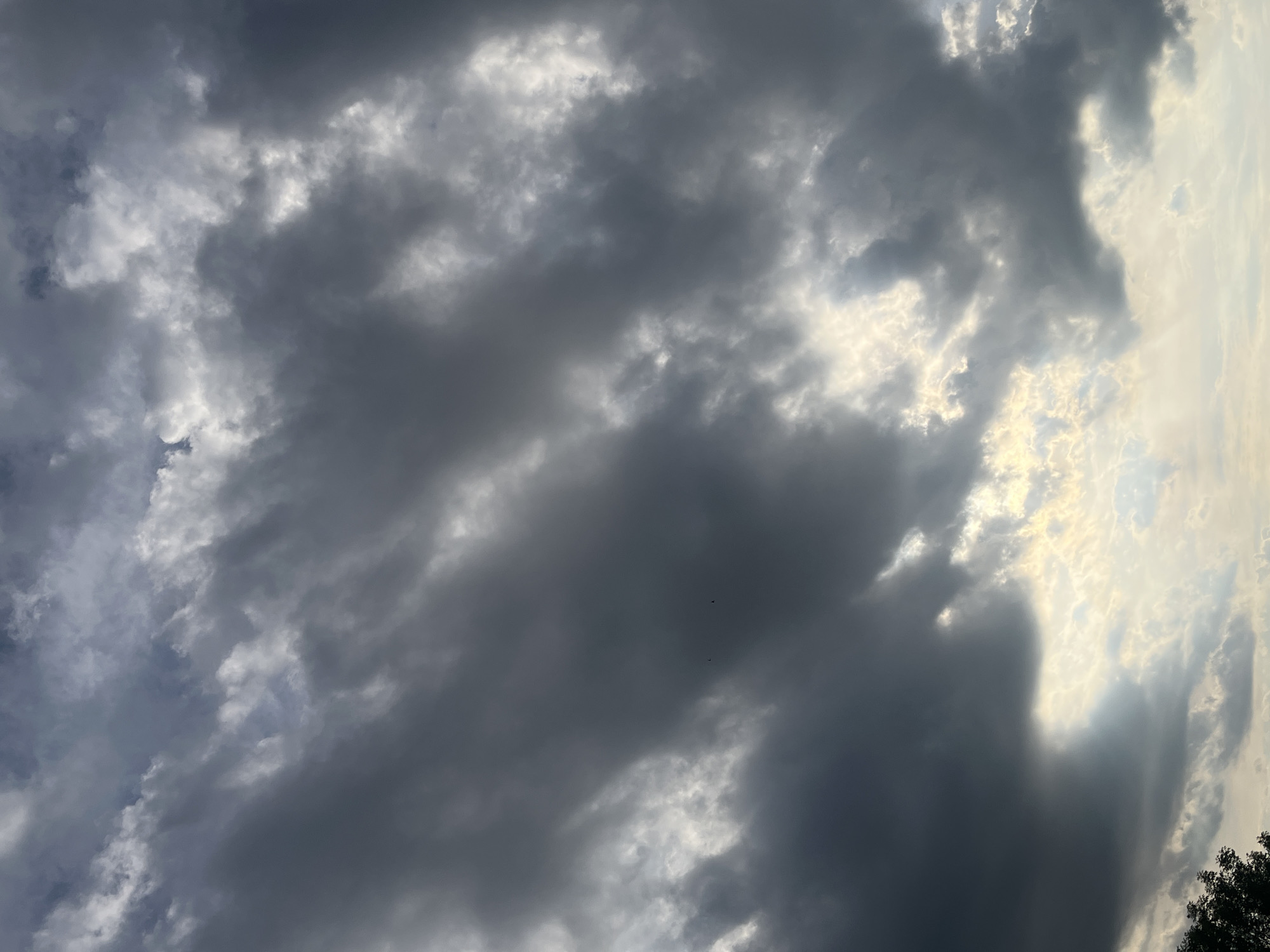 The image shows a sky filled with predominantly dark, heavy clouds. Patches of lighter, white clouds are visible, particularly towards the right side of the frame, suggesting sunlight breaking through. A few small, dark specks (possibly birds) are present against the gray clouds. A bit of foliage appears in the lower right corner. No people or other objects are visible. The location is unknown, as the image provides no discernible city or environmental cues.