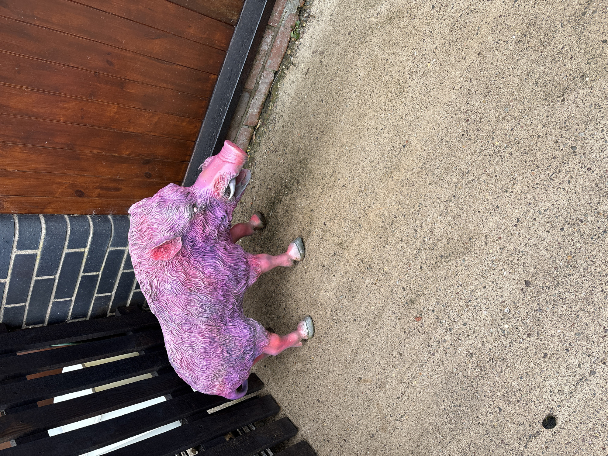 A pink and purple pig statue stands on a light grey concrete surface in Pulverbatch, United Kingdom. The statue, depicting a wild boar or large pig, features a vibrant pink snout and ears, white tusks protruding from its mouth, and textured body hair in shades of pink and purple. Its hooves are grey. To the left of the statue is a dark, vertically slatted wooden fence. Behind the statue, a structure consists of a dark grey brick corner, a lower course of reddish-brown bricks, and a vertical brown wooden door or gate with a dark horizontal base trim. The concrete surface exhibits small, scattered specks and a single dark fragment in the lower left corner.