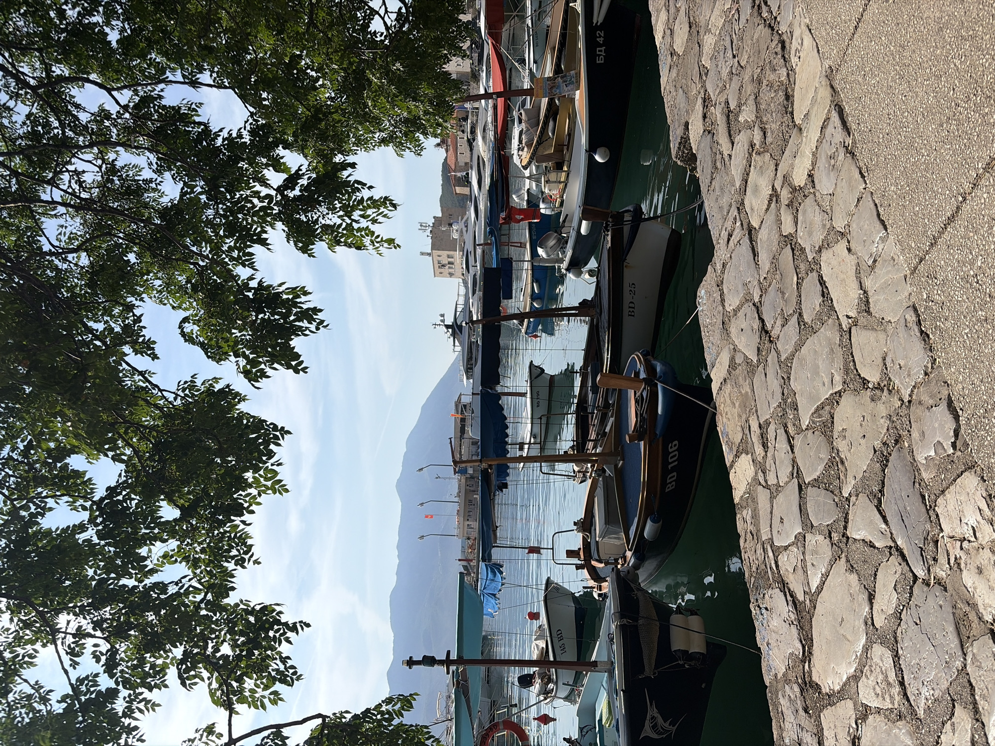 The image depicts a sunlit harbor scene in Budva, Montenegro. In the foreground, a paved walkway made of large, irregularly shaped stones leads to the water's edge. Several small motorboats are moored in the calm, blue water. Some of these boats have canopies providing shade, and others have outboard motors. Distinctive markings like "BD 106" and "BD-25" are visible on the hulls of some boats.
Beyond the moored boats, larger yachts and vessels are visible further in the harbor. In the background, a range of hazy mountains forms a dramatic backdrop. The sky is a clear blue with a few wispy clouds. Lush green tree branches with leaves overhang the scene from the top of the frame, casting dappled shadows. The overall impression is one of a peaceful, picturesque coastal town on a clear day.