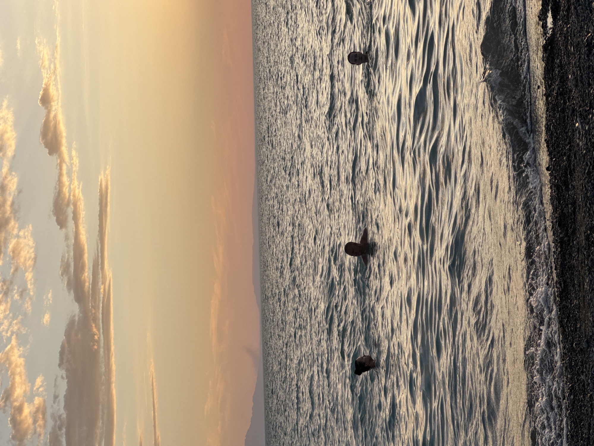 A scenic view of a body of water at sunset, with three individuals swimming in the foreground. The sky is a gradient of soft oranges and yellows, with scattered clouds. The water is choppy, reflecting the colors of the sunset. The background shows a distant shoreline with mountains. The scene appears to be a natural landscape, possibly a lake or sea. The location is specified as Zharbulak, Kazakhstan.