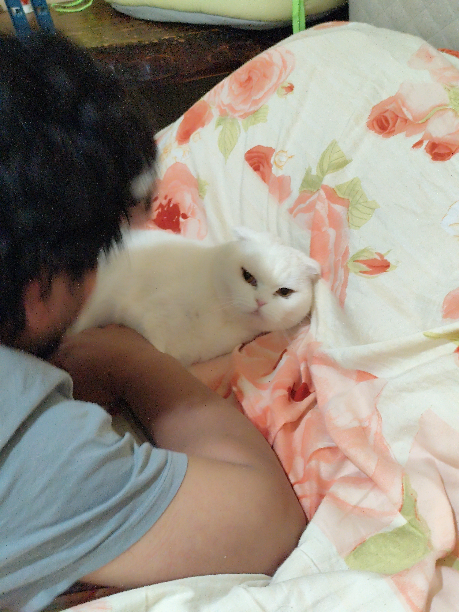 A person with short, dark hair is lying on a bed with a white floral patterned sheet and a white cat with golden eyes. The person is wearing a grey t-shirt and is positioned to the left of the cat. The location is Sarıyer, Turkey.