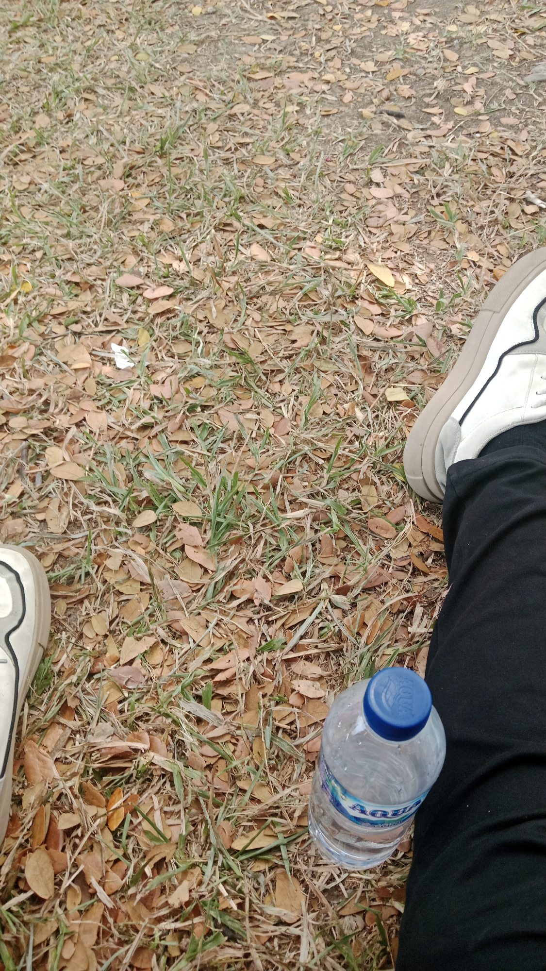 The image shows a close-up view of a person's legs and feet on the ground. The ground is covered with dry grass and fallen leaves. A clear plastic water bottle with a blue cap is lying on the ground next to the person's leg. The person is wearing black pants and white sneakers with a beige sole and black detailing. The scene appears to be outdoors, possibly in a park or a grassy area within Lhokseumawe, Indonesia. The lighting suggests it is daytime.