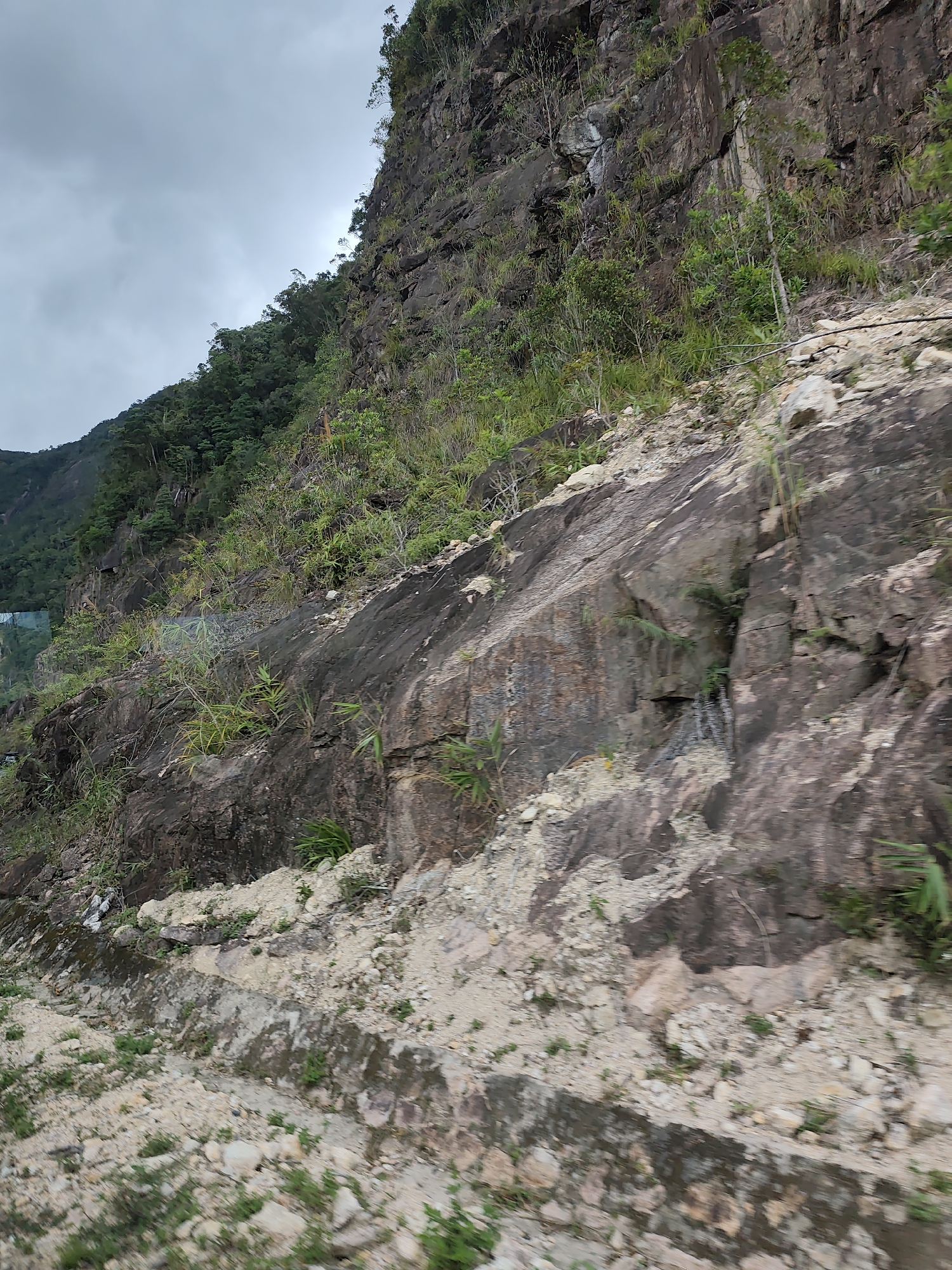 The image shows a rocky mountainside with sparse vegetation, predominantly grasses and small shrubs, growing from crevices and the rocky soil. The terrain is uneven, with large boulders and gravel scattered across the slopes. In the distance, a lush, green forest covers the top of another mountain. The sky is overcast with gray clouds. The overall impression is of a natural, undeveloped landscape. The image does not contain any people or discernible man-made structures.