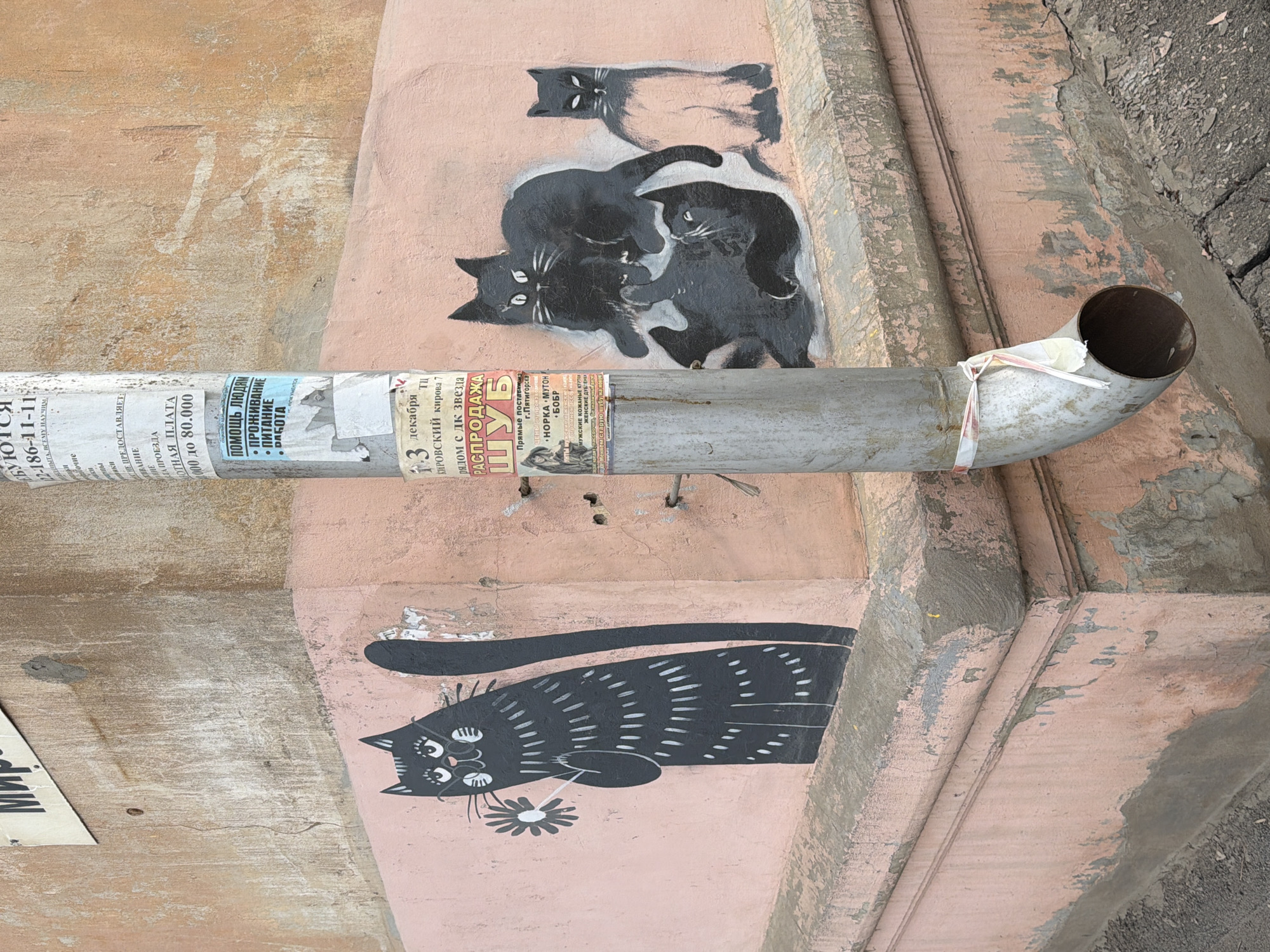 A street scene in Votkinsk, Russia, features a light pink exterior wall of a building adorned with whimsical black cat graffiti. A grey drainpipe runs horizontally across the wall, partially obscuring the cat artwork. The pipe is covered in tattered, weathered advertisements in Russian, their text and images mostly illegible due to damage and wear. The wall's paint is peeling and chipped, revealing patches of underlying surface and adding to the aged aesthetic. The graffiti depicts several stylized black cats in different poses, one with a flower. The scene captures the urban environment's raw, decaying beauty.