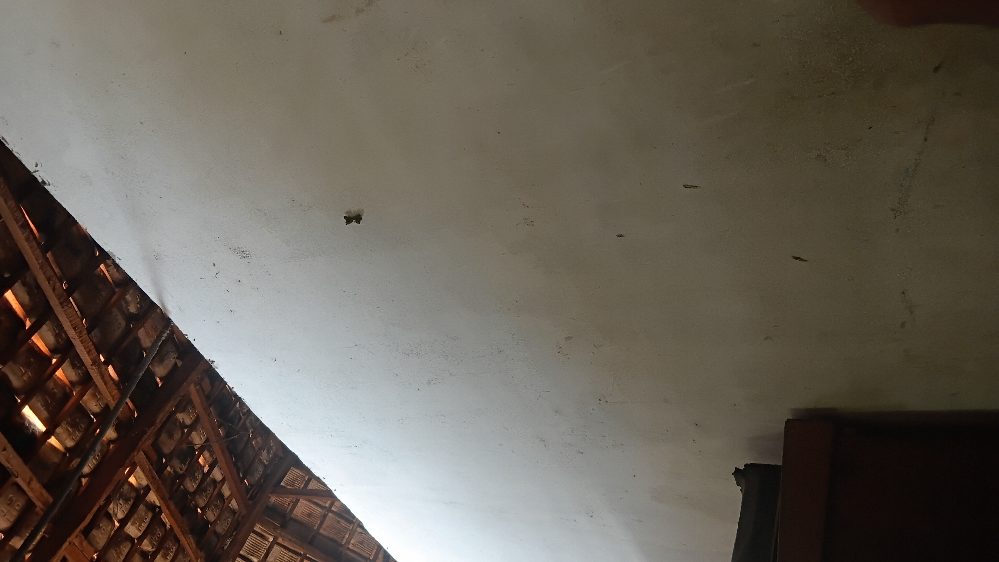 The image depicts an interior scene featuring a textured off-white wall. A dark wooden piece of furniture is visible in the lower left corner. Above the wall, a section of a sloped, tiled roof with visible wooden beams is present. A small, dark, irregular object is affixed to the wall approximately in the upper middle section of the frame. The scene appears to be a part of a building's interior, possibly a room or a covered outdoor area, located within the city of Prabumulih, Indonesia. The lighting suggests it is daytime, with light illuminating the wall from the left.