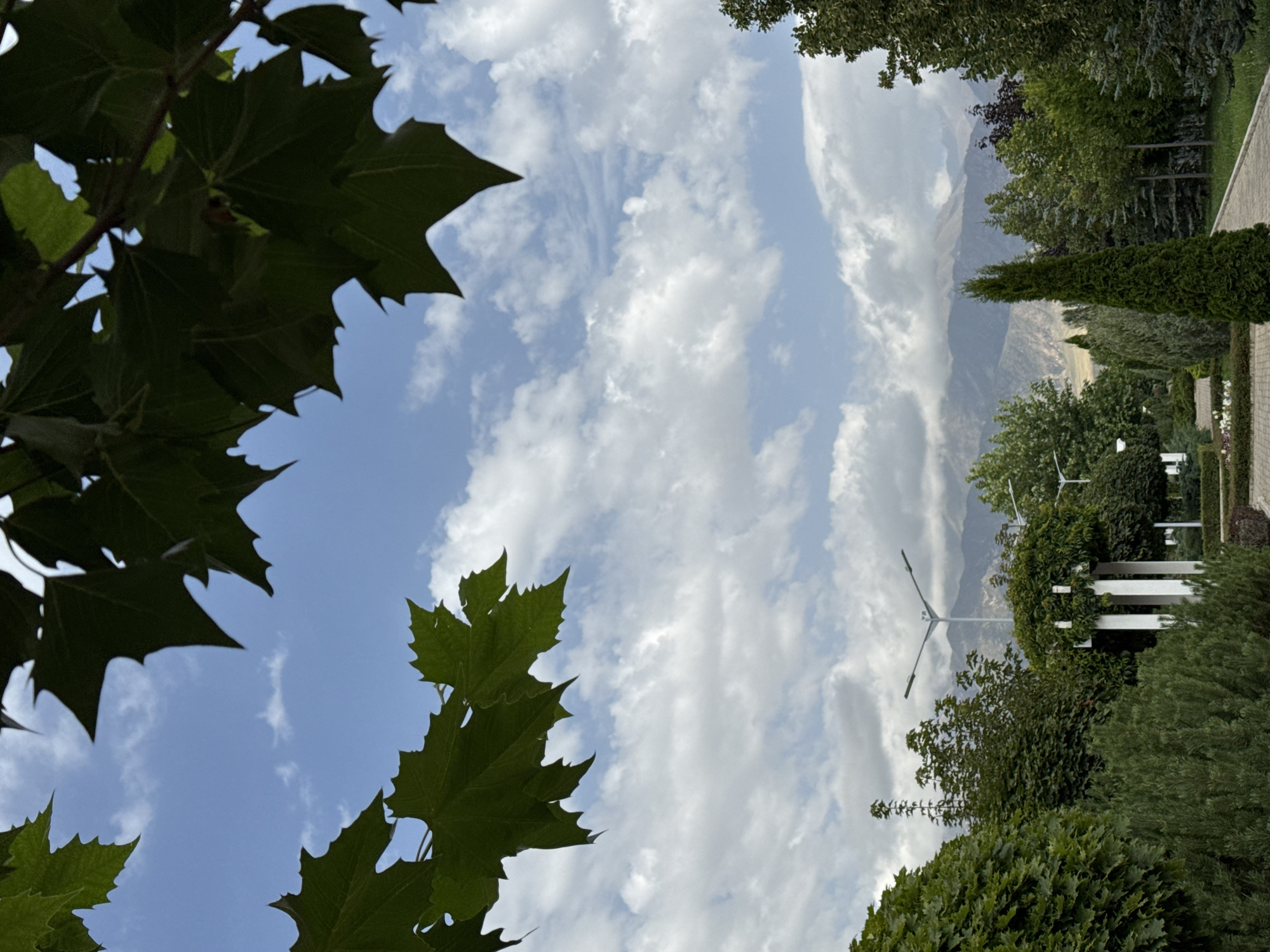 The image captures a tranquil park scene in Sary-Oy, Kyrgyzstan, dominated by lush greenery and a distant mountain range under a cloudy sky. In the foreground, large, dark green leaves of a deciduous tree frame the upper portion of the image, partially obscuring the blue sky dotted with white clouds. Below, a well-maintained park unfolds. A paved pathway winds through the landscape, bordered by manicured bushes and trees of various species, including a prominent, tall, conical evergreen tree. White architectural elements, possibly part of a pergola or pavilion, stand amidst the foliage. Modern lampposts are visible, suggesting a public space. In the background, the majestic, muted tones of mountains rise, their peaks partially shrouded by clouds, indicating a temperate climate. There are no people visible in the frame, and no specific actions are depicted. The overall impression is one of natural beauty and serene urban planning in Sary-Oy.