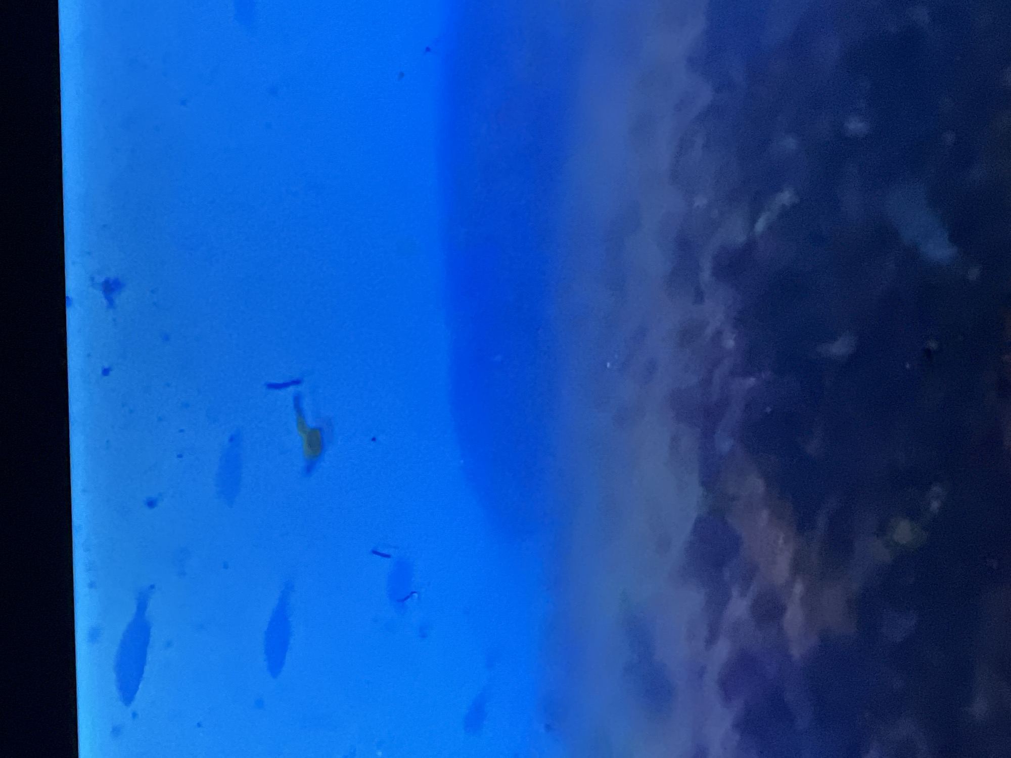 The image depicts an underwater scene with several small fish swimming in blue water. The bottom of the scene is rocky and dark, suggesting a natural environment. The image is not related to Casablanca, Morocco.