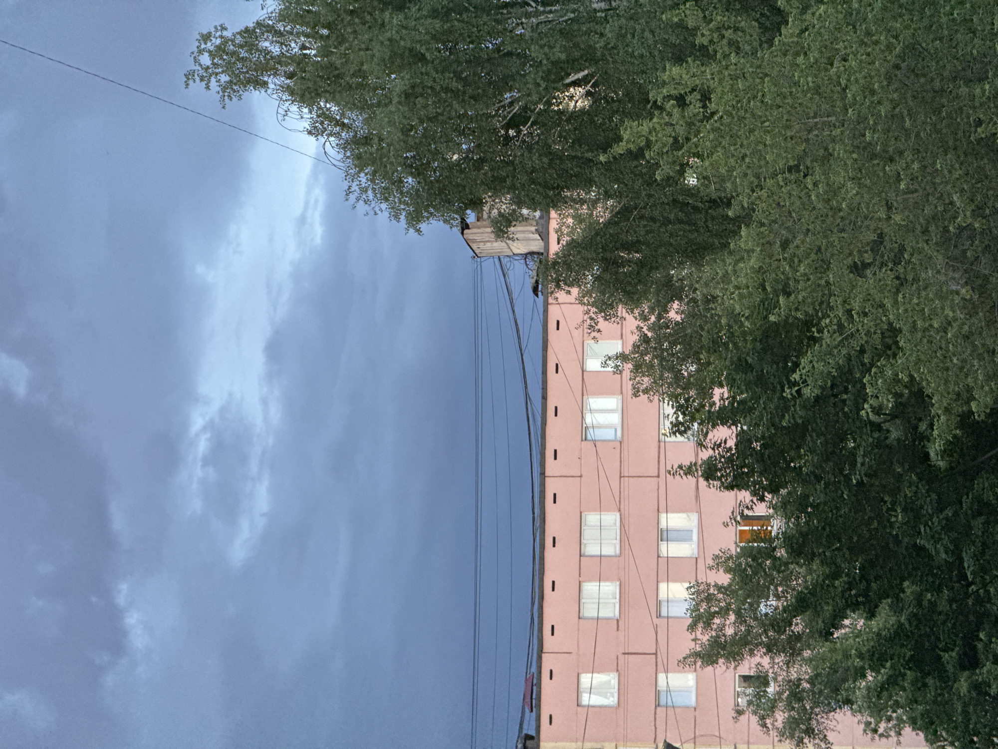 A pink building is situated next to trees, under a cloudy sky in an urban environment. The precise location is unknown, but is referred to as Unknown, Unknown. Electrical wires are visible against the sky and the building. Windows are evenly spaced along the building's facade.