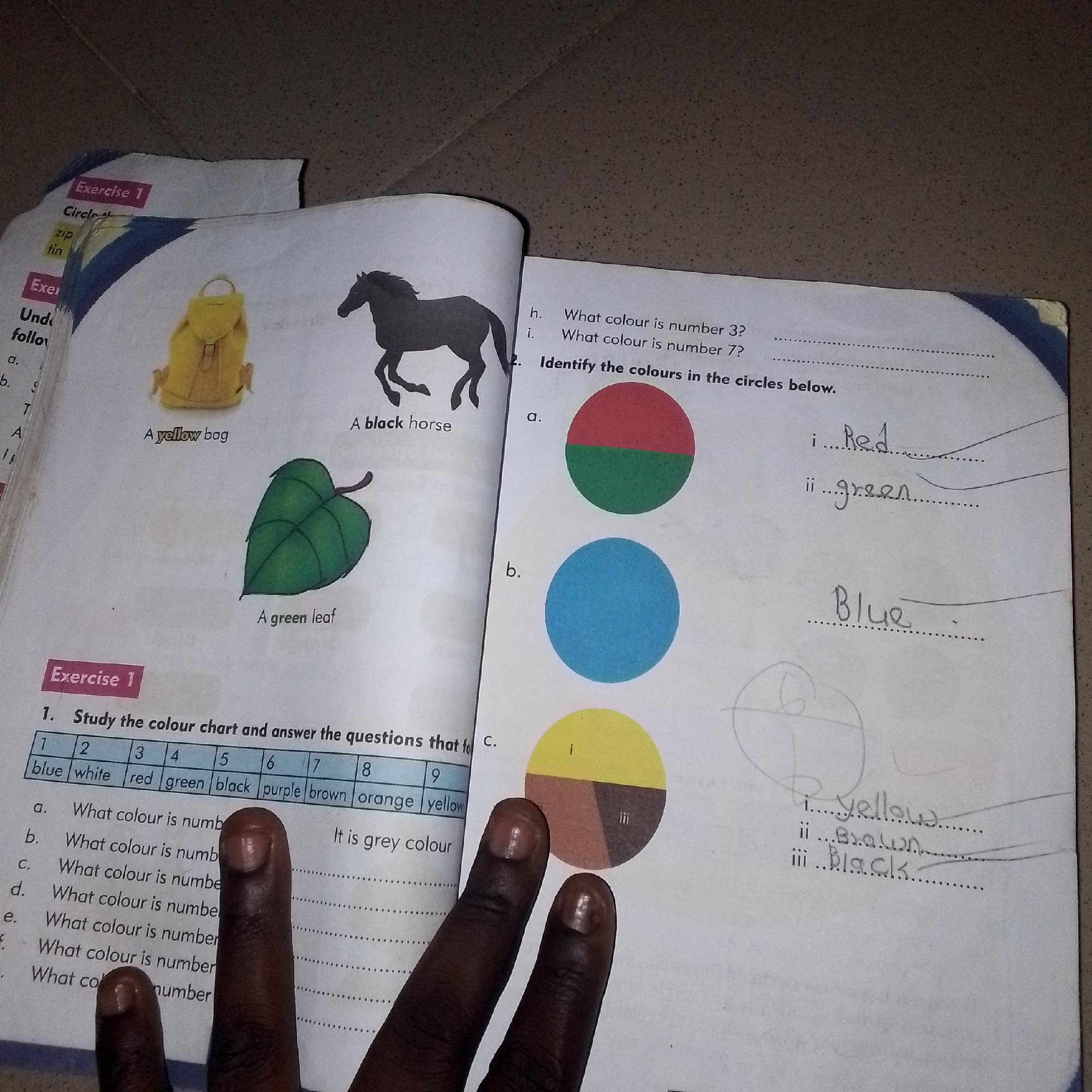 The image shows an open book, likely a children's workbook, displaying exercises related to colors and objects. On the left page, there are illustrations of a yellow backpack, a black horse silhouette, and a green leaf, each with a descriptive label. This page is part of "Exercise 1" and includes a color chart with numbers 1 through 9 and their corresponding colors.
The right page continues with "Exercise 1" and presents questions about the color chart. It also features three pie charts labeled 'a', 'b', and 'c', each divided into sections with different colors. Below these charts are handwritten answers. For chart 'a', the handwritten answers are "Red" and "green." For chart 'b', the answer is "Blue." For chart 'c', the handwritten answers are "yellow," "Brown," and "Black." The image also shows parts of two hands with dark skin, with fingernails visible, suggesting someone is holding the book open or pointing to the content. The background is blurry and appears to be a textured surface, possibly a table or floor. The lighting suggests an indoor setting. There is no indication of the time of day or weather conditions. The setting appears to be a domestic or educational environment.