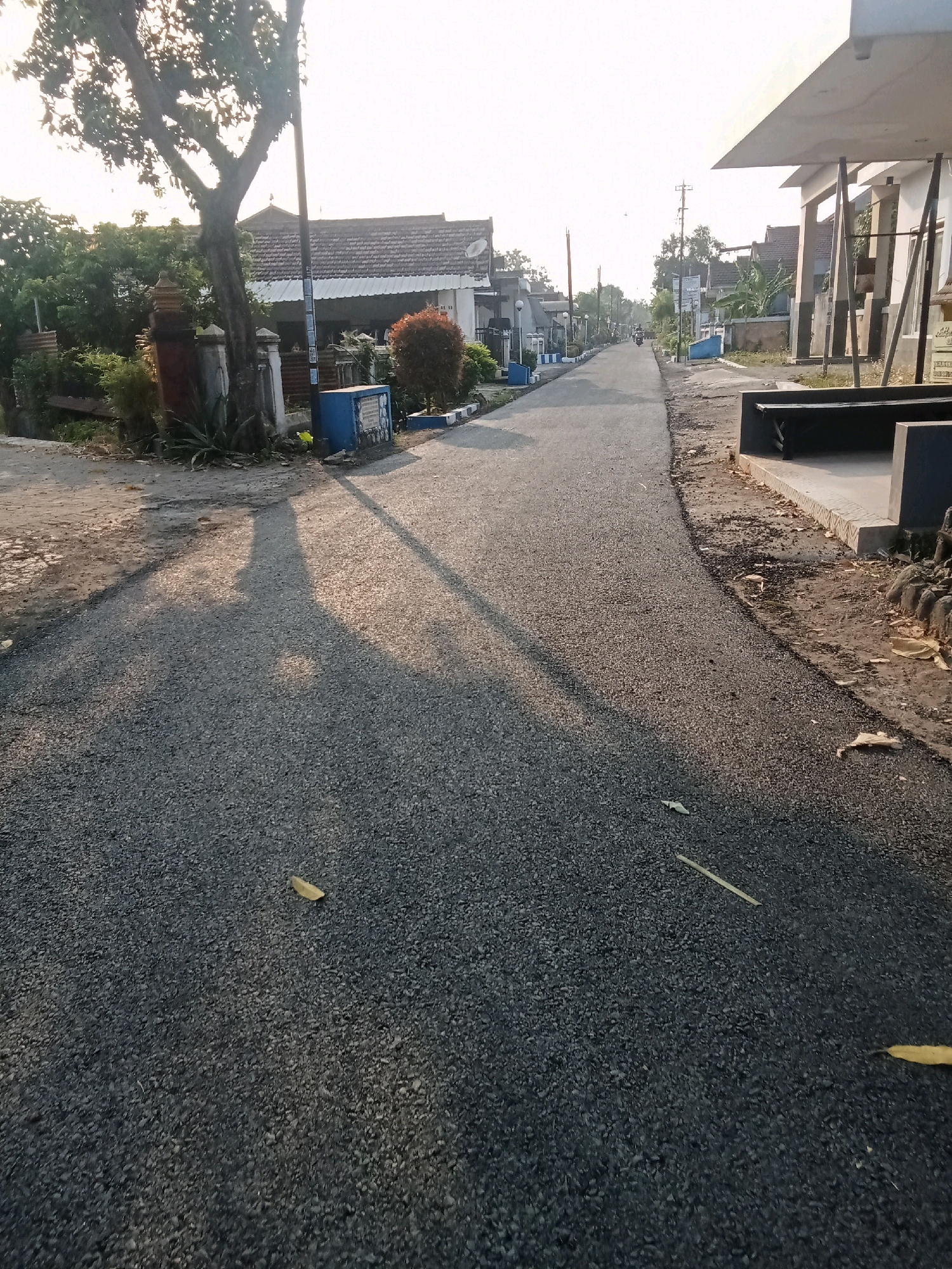 The image captures a street scene in Jombang, Indonesia. The asphalt road is bordered by houses and vegetation. The sun is low in the sky, casting long shadows across the road. On the left side of the road, there is a large tree, a wall, and some plants. On the right side, there is a building with a modern design and a bench. A motorcycle is visible in the distance, suggesting ongoing activity in the area. The sky is bright and hazy, indicating either early morning or late afternoon. The overall impression is a quiet, residential street.