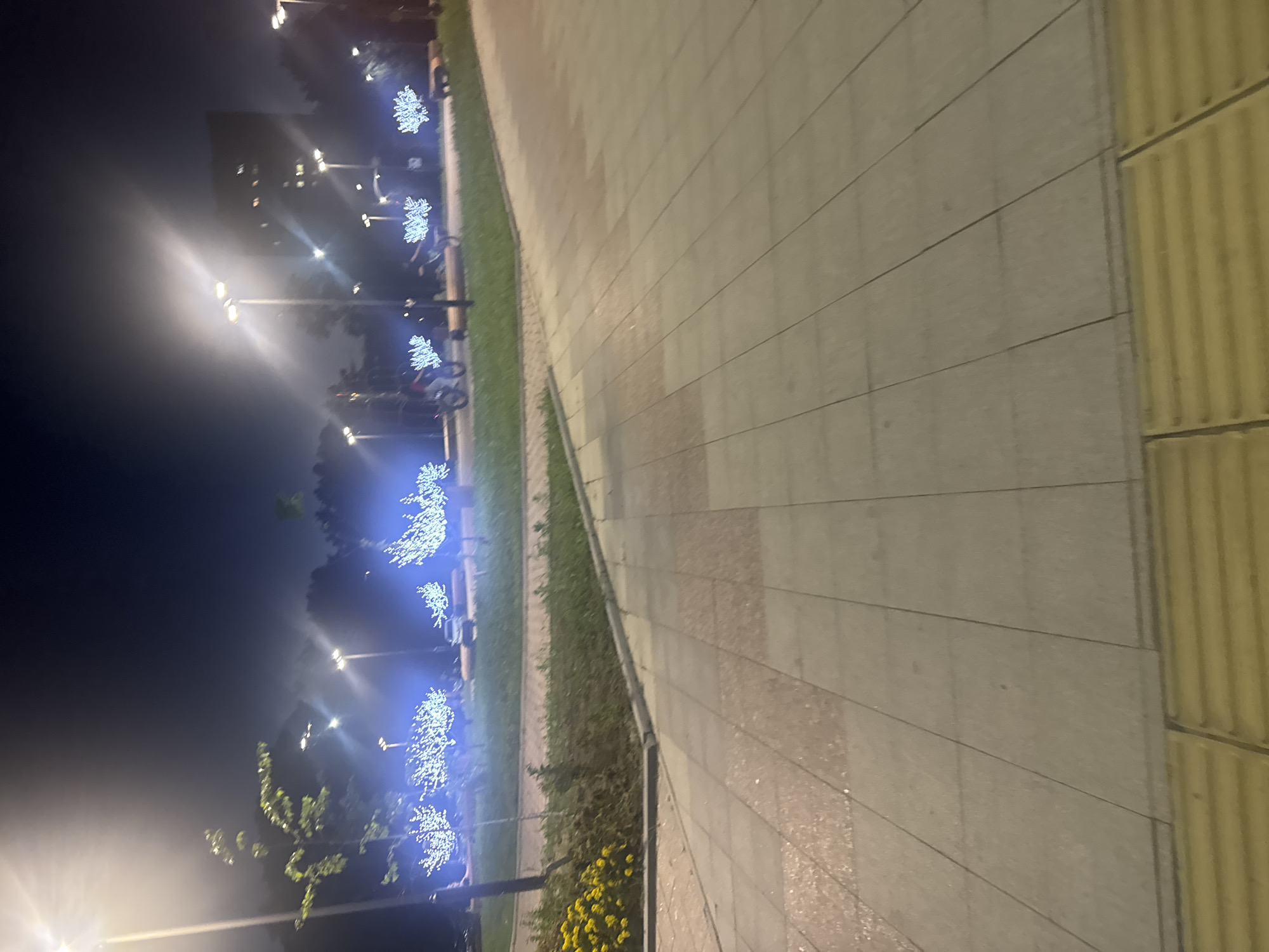 The image depicts a nighttime scene in a park in Komsomolsk-on-Amur, Russia. The park is illuminated by lampposts and decorative white lights adorning trees. In the foreground, a paved walkway with beige and reddish-brown square tiles leads into the park. To the left, yellow flowers are visible near the edge of the walkway. Further into the park, the grass is illuminated by the artificial lights. Several trees are decorated with numerous small white lights, creating a luminous effect. Two individuals are on bicycles in the middle ground, one appearing to be a child on a smaller bike and another on a larger bike. In the background, trees form a dark silhouette against the night sky, and a multi-story building with illuminated windows is visible.