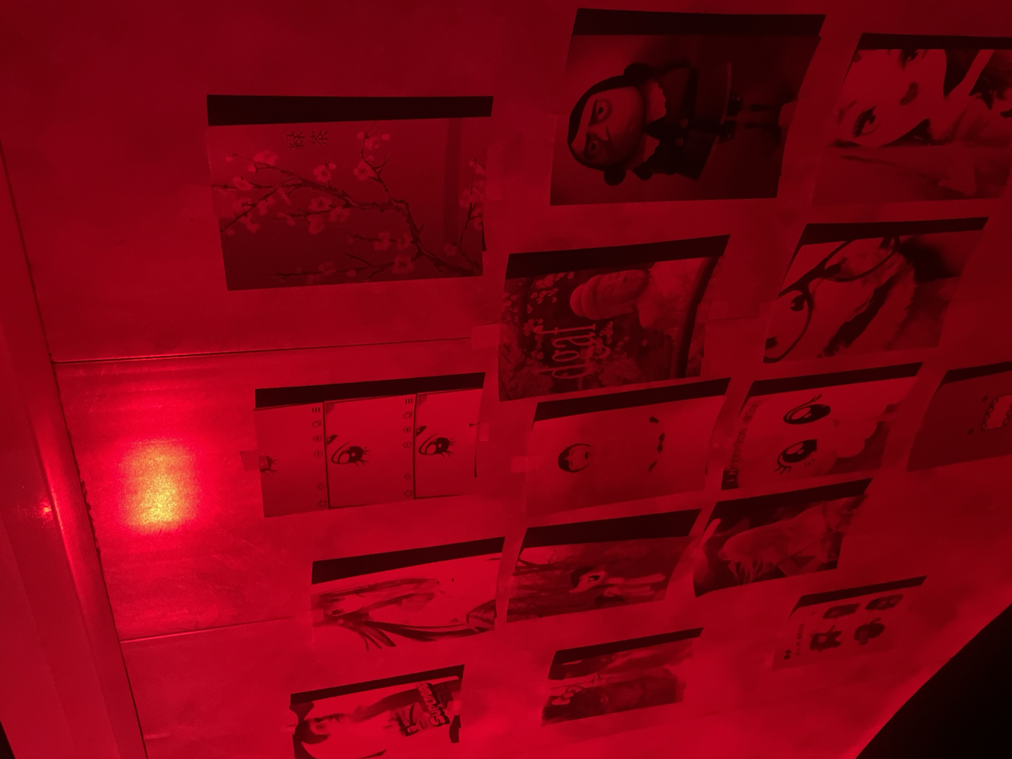 The media file displays an indoor scene, possibly a wall or ceiling, covered with numerous rectangular printouts or pictures. The entire environment is saturated in a strong, deep red light, which significantly alters the appearance and color perception of the objects within the frame. A brighter, yellowish-orange light source or reflection is visible on the left side of the image.
The printouts are arranged in a grid-like fashion, seemingly taped or affixed to the surface. Subjects depicted in these prints are varied:
- One prominent print on the top left shows cherry blossoms or similar flowering branches, possibly against a dark background, with faint Japanese characters visible above the branches.
- Another print near the top center features a stylized portrait of a person's face with dark hair and a serious expression, looking left.
- Further right, another print shows a segment of an anime-style face, with a large eye and part of a mouth.
- In the middle row, two side-by-side prints distinctly show anime-style eyes.
- Adjacent to these, a printout features the word "dead" written vertically in a stylized script, surrounded by what appear to be floral or organic elements.
- Below this, an image depicting a stylized animal head, possibly a dog or wolf, is visible.
- Other visible prints include various close-ups of faces, abstract patterns, and another image in the lower right corner that appears to show small icons, possibly fruits, with some illegible text beneath them, potentially including "Black Berry."
No activity or event is taking place; the image captures a static display. The pervasive red lighting creates a distinct, moody, and somewhat eerie atmosphere, making it challenging to discern true colors and fine details of the printed images.
