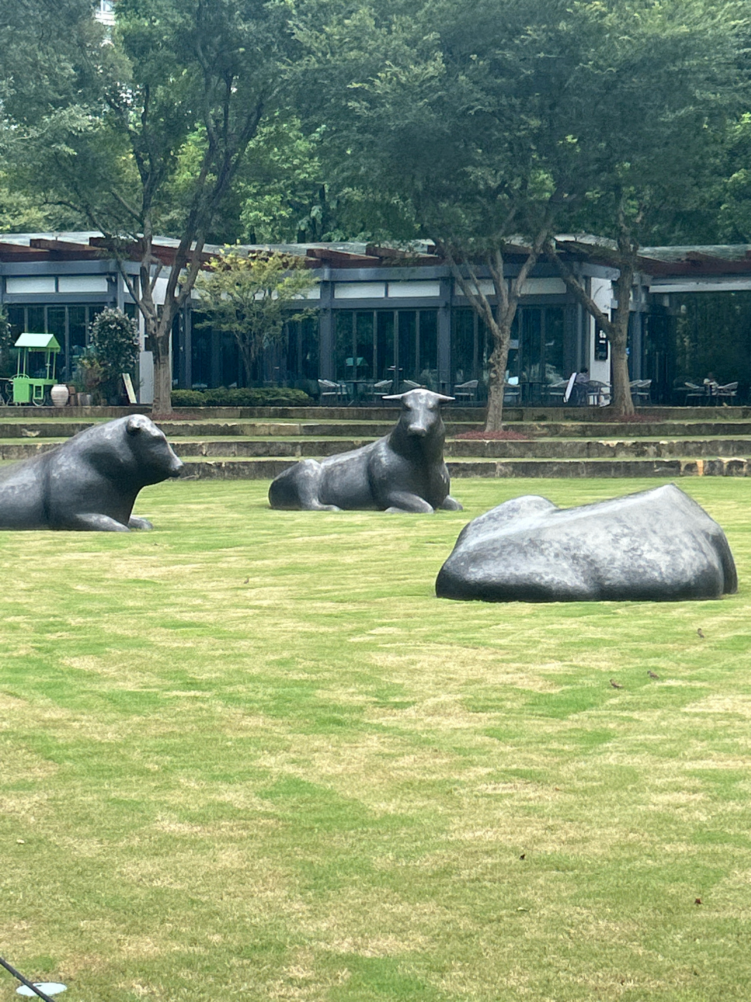 In Jing'an District, China, a tranquil outdoor scene unfolds with lush green grass serving as the foreground. Three dark, matte sculptures are prominently displayed on the lawn. To the left, a sculpture resembling a reclining bull faces right, its head turned slightly as if observing something. In the middle ground, another bull sculpture lies prone, its head facing left. To the right, a large, smooth, boulder-like sculpture rests on the grass. In the background, a modern building with a flat roof and large windows, possibly a restaurant or cafe, is visible. Trees with dense green foliage frame the building and extend into the upper part of the image. A few small birds are scattered across the lawn, adding a touch of life to the serene setting.
